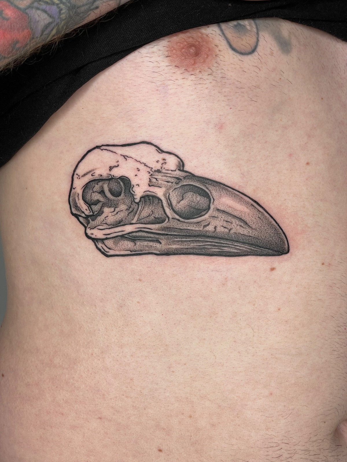 Rabenschädel Rippen in Blackwork style on Ribs by Arne Kellermann Hamburg