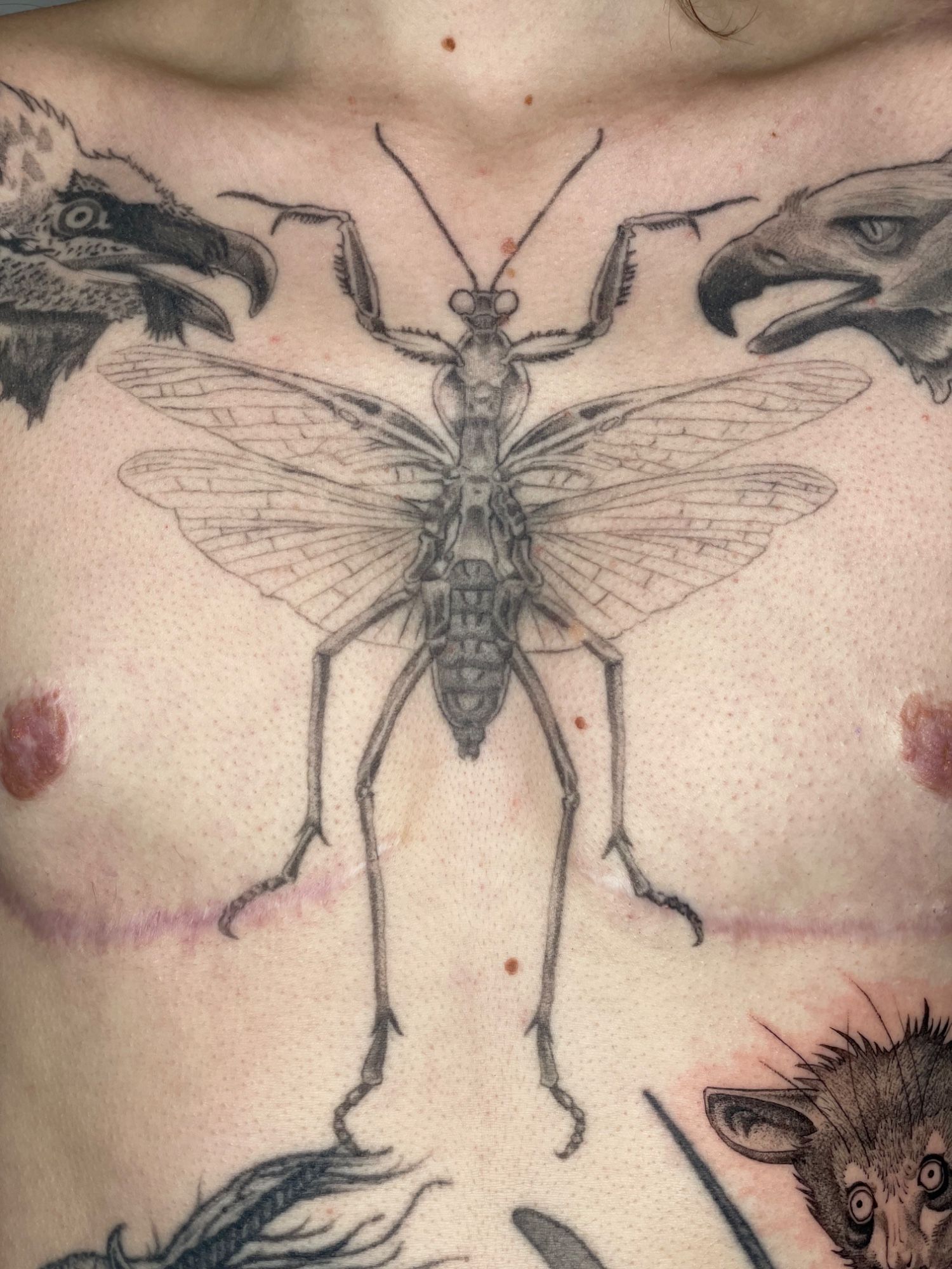 Gottesanbeterin Brust in Fineline style on Chest by Pretty Bold Hamburg