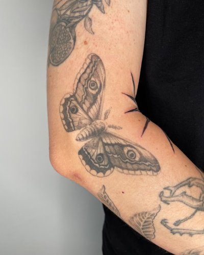 Schmetterling Arm im Fineline Style auf Unterarm von Pretty Bold in Hamburg