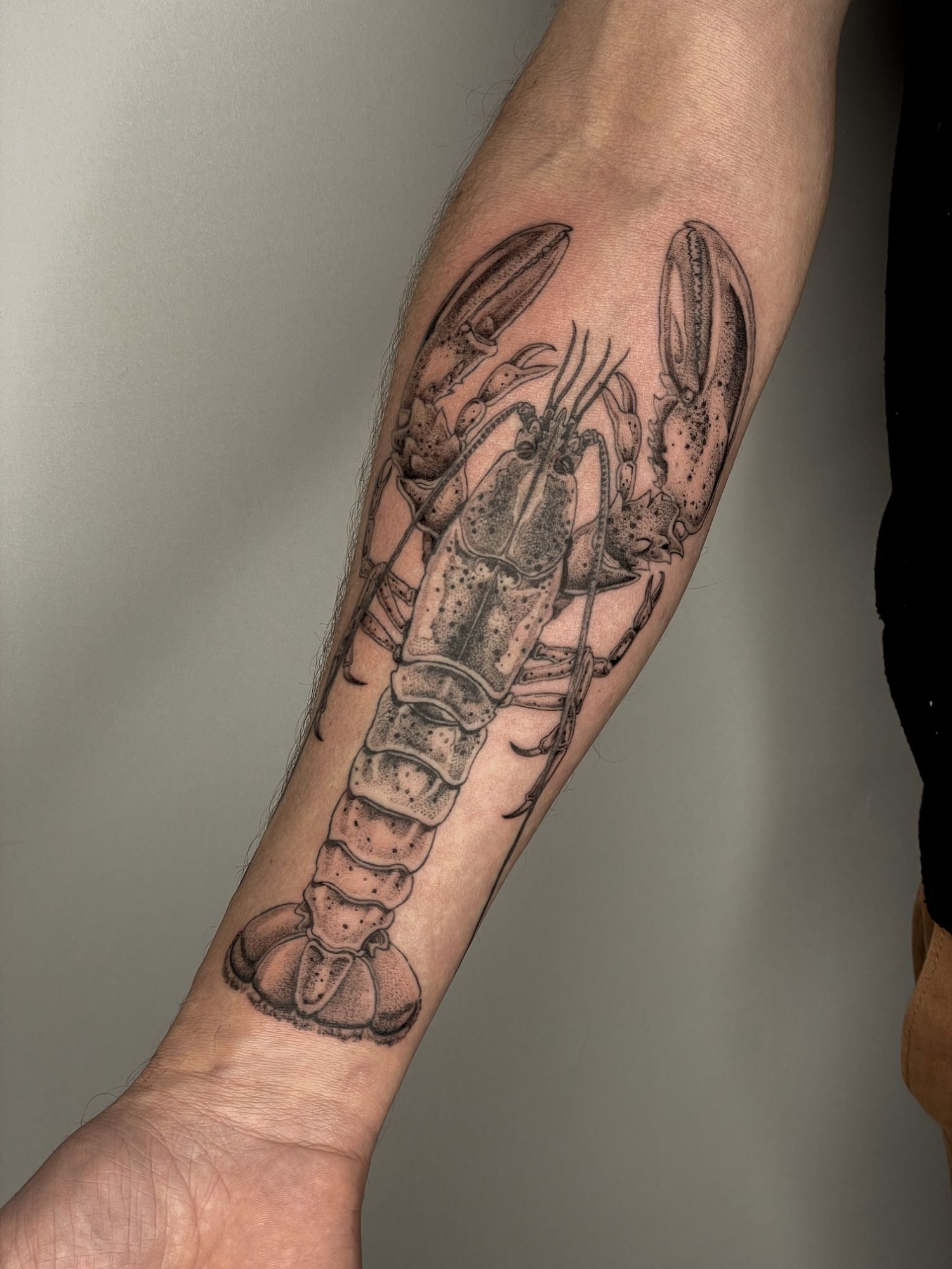 Hummer Unterarm in Illustrative style on Forearm by Pretty Bold Hamburg