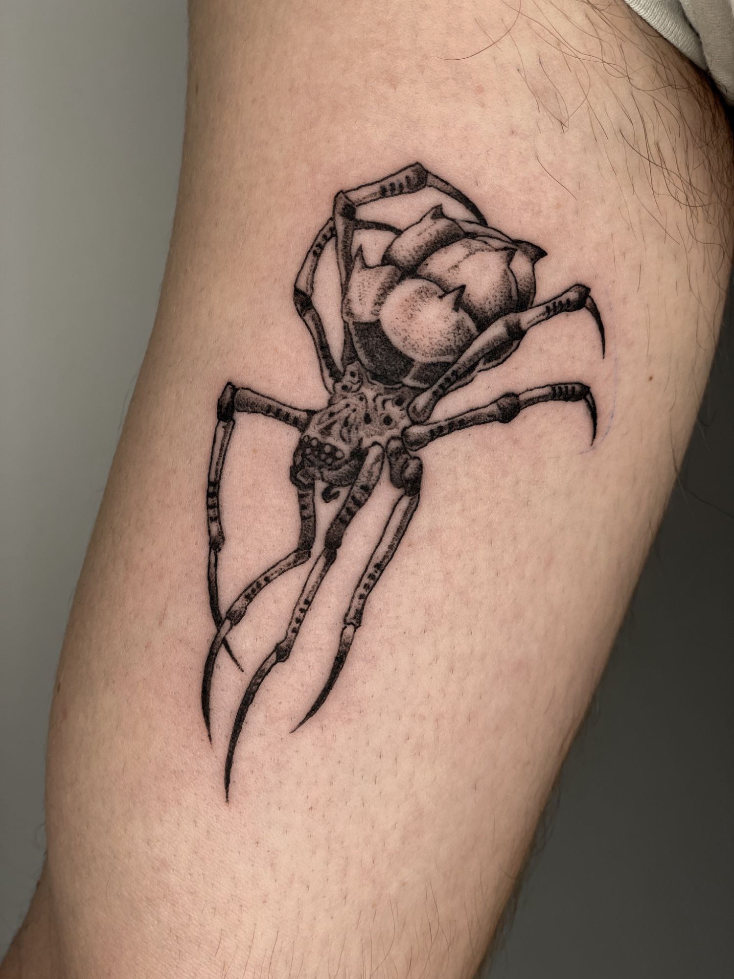 Spinne Oberarm-Innenseite im Illustrative Style auf Oberarm von Pretty Bold in Hamburg