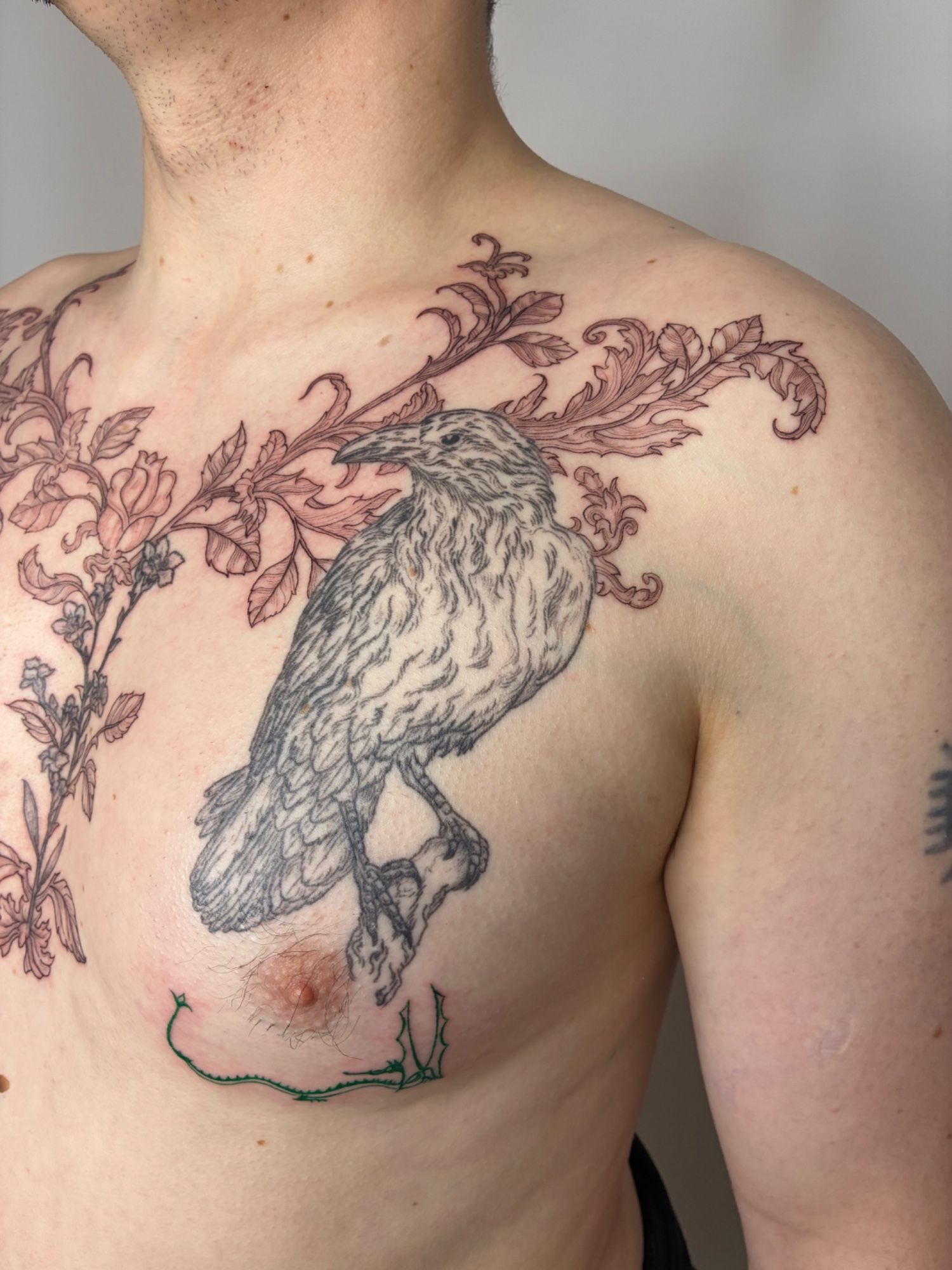 Studio photo - Rosmarin&Thymian Tattoo