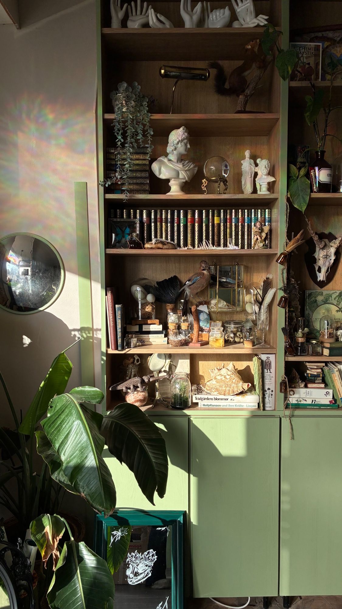 Studio photo - Rosmarin&Thymian Tattoo