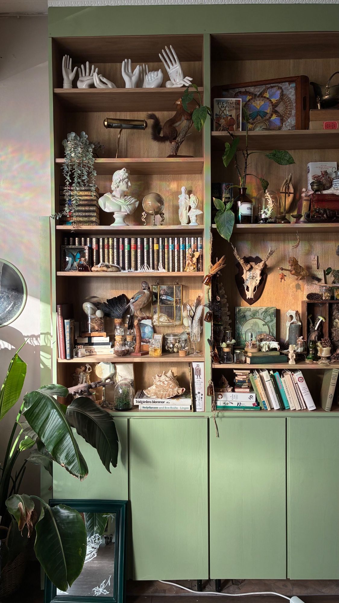 Studio photo - Rosmarin&Thymian Tattoo