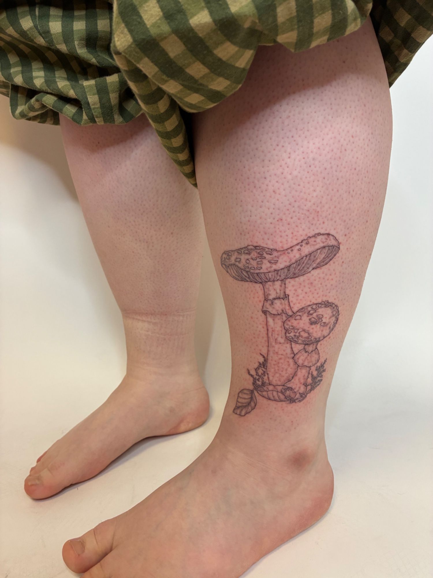 Pilze mit Waldboden im Etching (Engraving) Style auf Bein von Rosmarin&Thymian Tattoo in Osnabrück