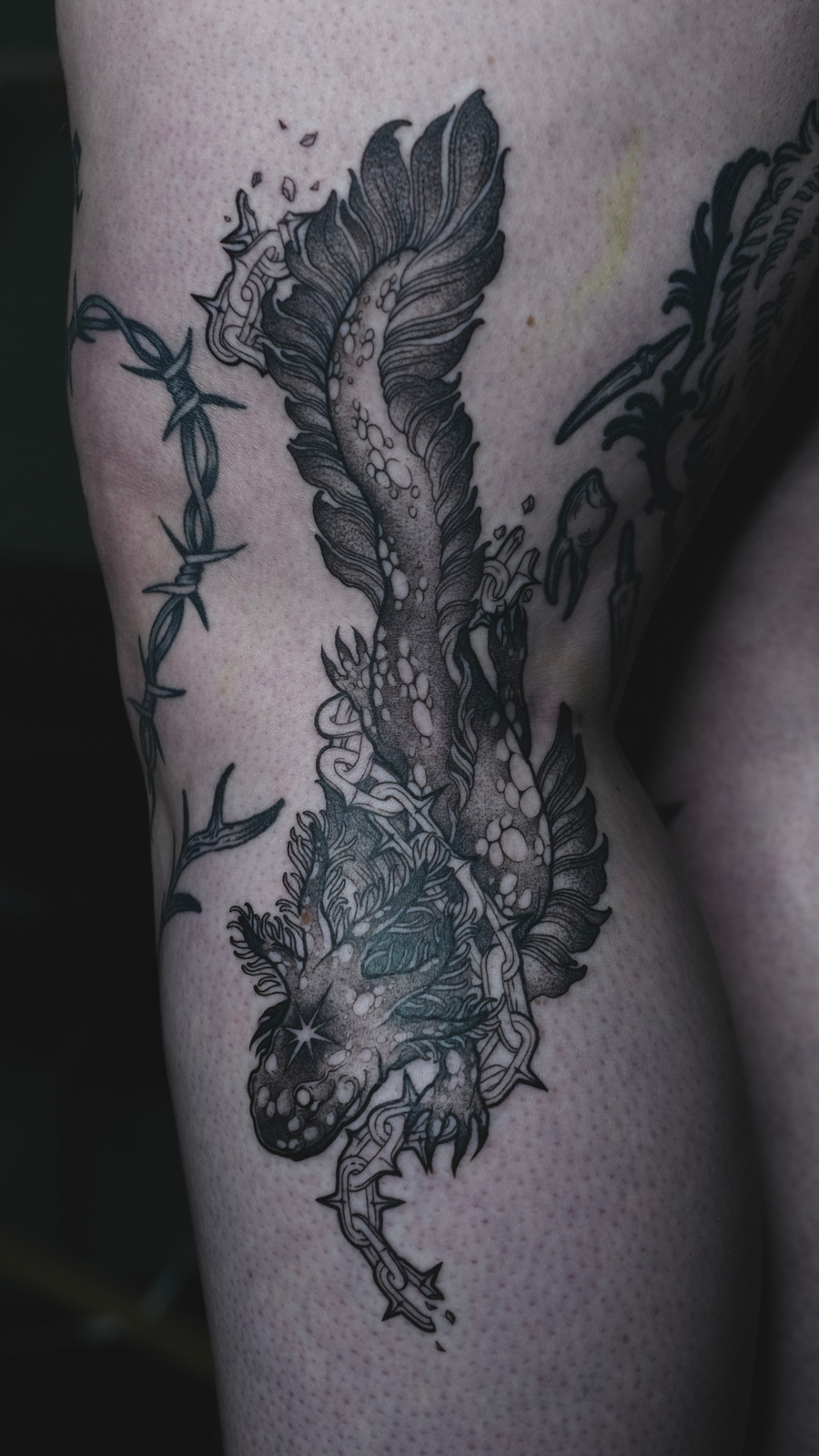 Axolotl im Blackwork Style auf Knie / Kniekehle von Nachtkrabb.tattoo in 71636