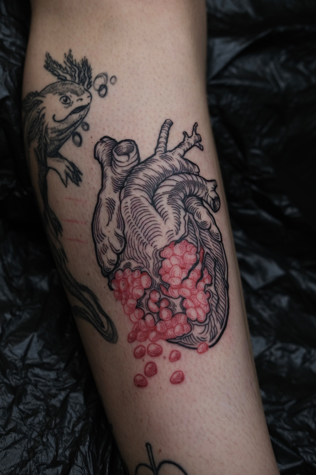 Granatapfel Herz im Blackwork Style auf Schienbein von Nachtkrabb.tattoo in 71636