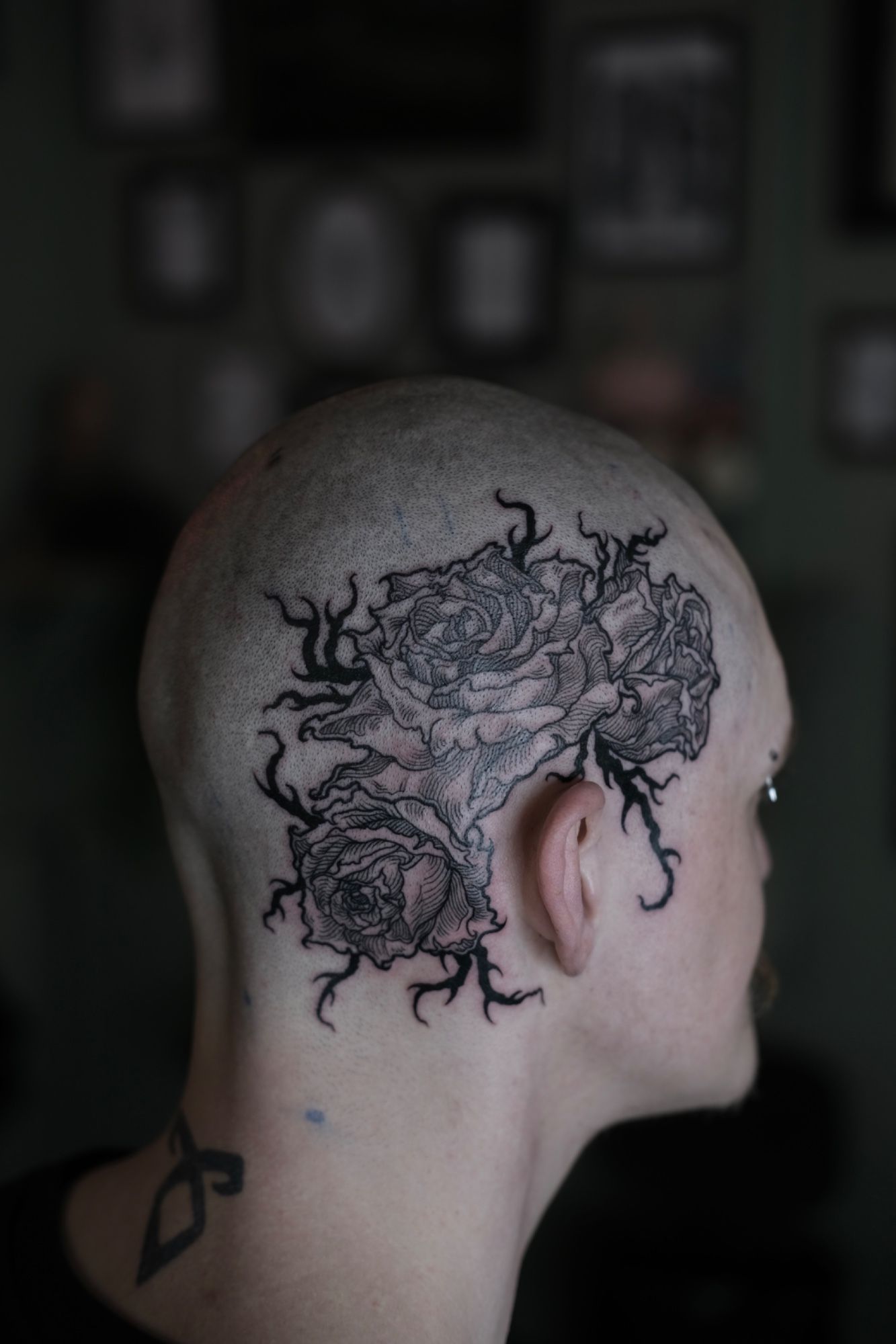 Rosen in Etching (Engraving) style on Head / Face by Nachtkrabb.tattoo 71636