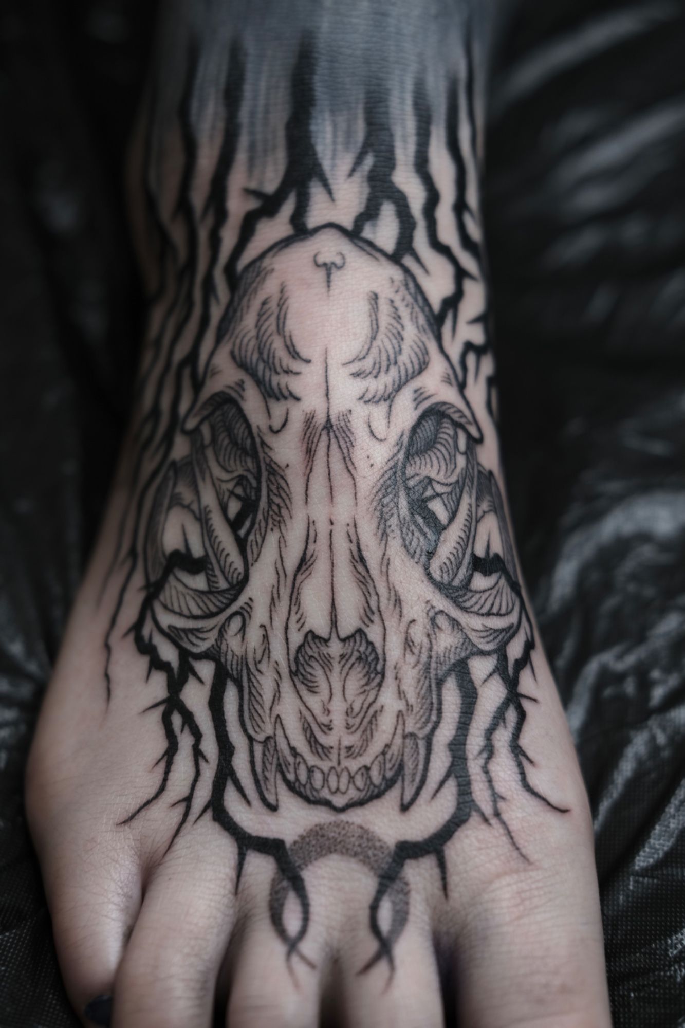 Katzenschädel in Illustrative style on Foot by Nachtkrabb.tattoo 71636