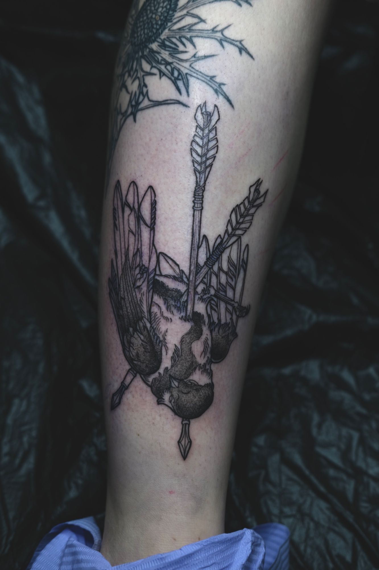 Vogel im Illustrative Style auf Bein von Nachtkrabb.tattoo in 71636