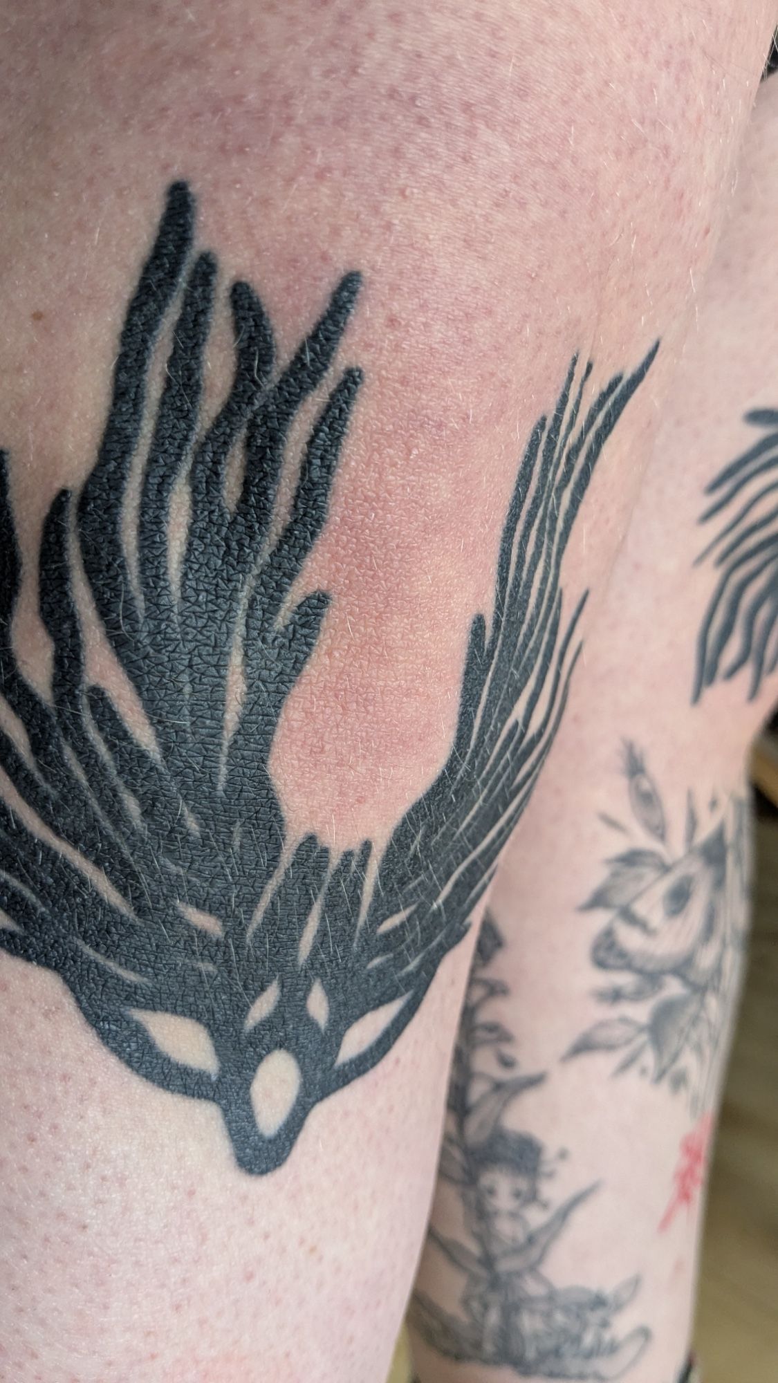 algen Knie abstrakt symmetrie Kniepees in Blackwork style on Knee / Back of by janus_tattoo Hamburg
