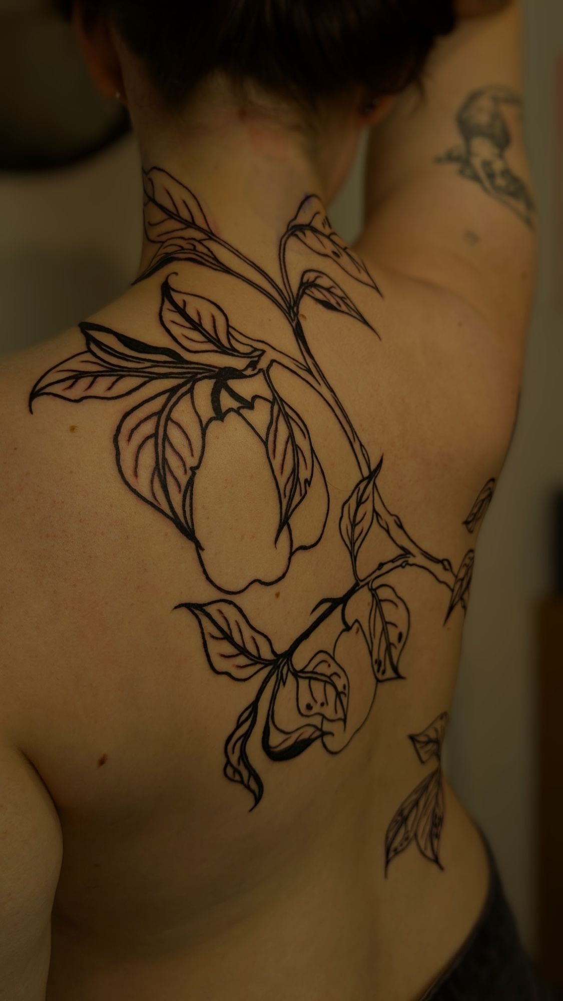 Whimsical Bontanical Birnen Zweig Backpiece in Blackwork style on Back by janus_tattoo Hamburg