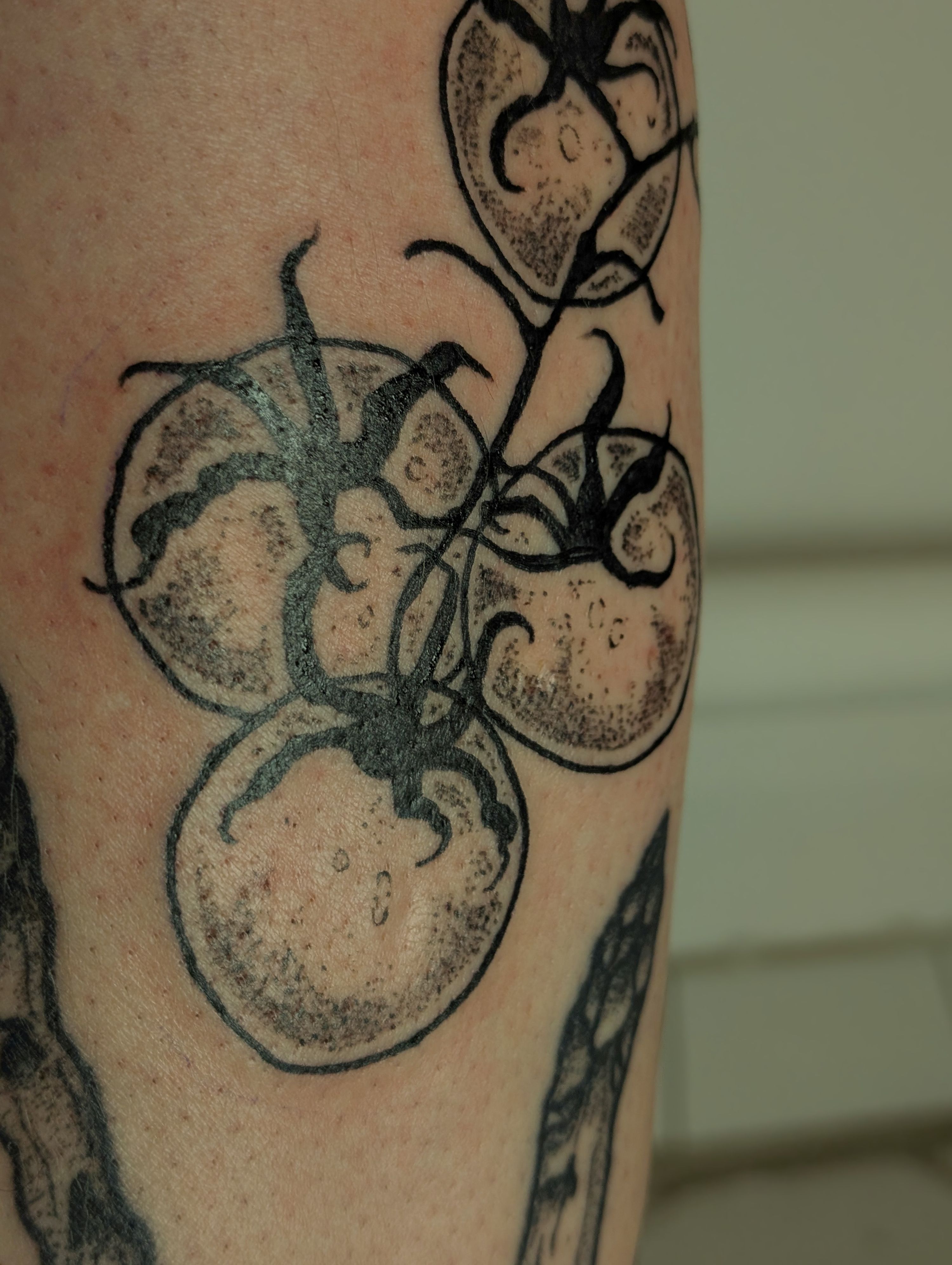 Tomaten in Illustrative style on Shin by janus_tattoo Hamburg