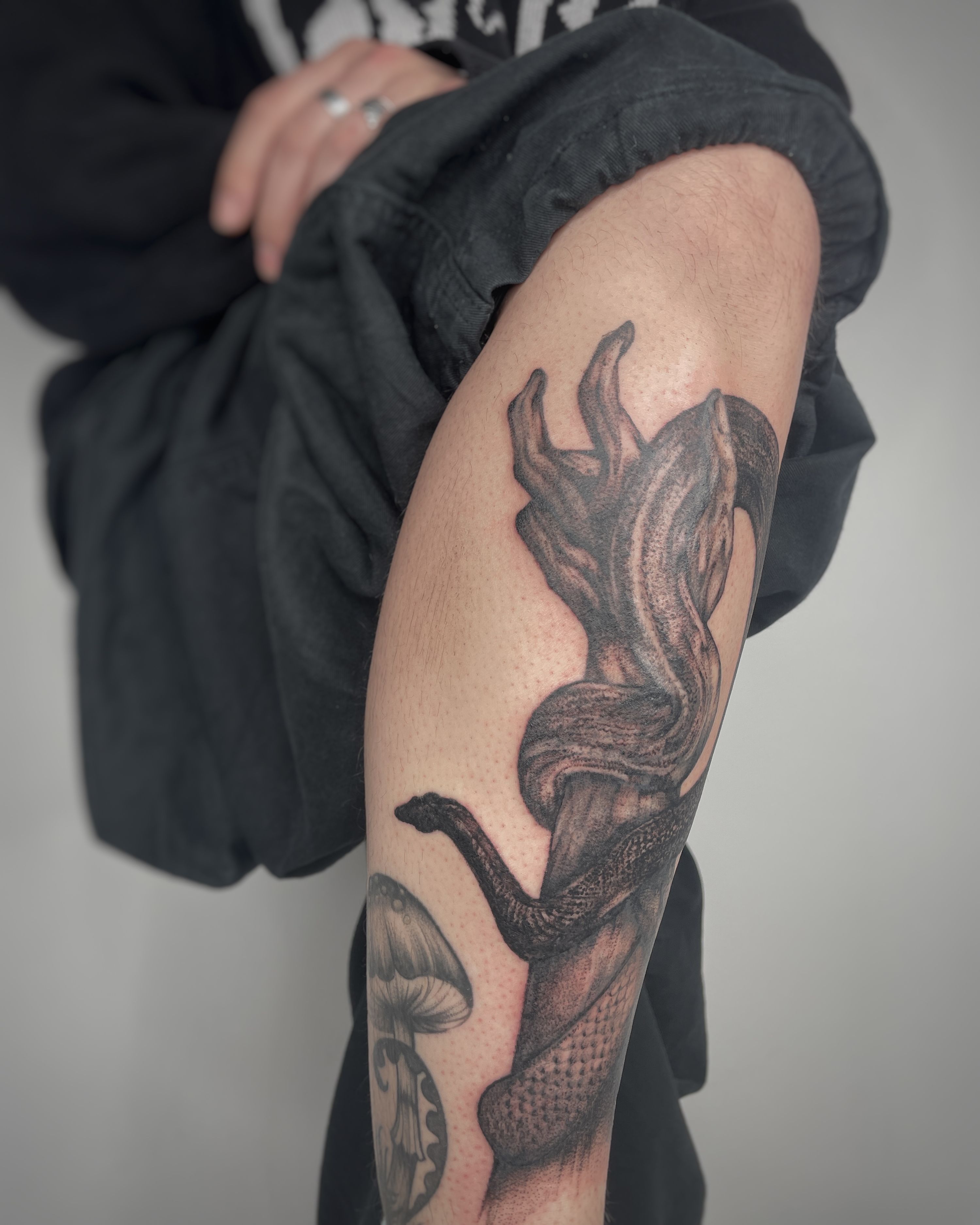 Schlangen Hand im Dotwork Style auf Schienbein von mansiehtsichmal.tattooo in Leipzig