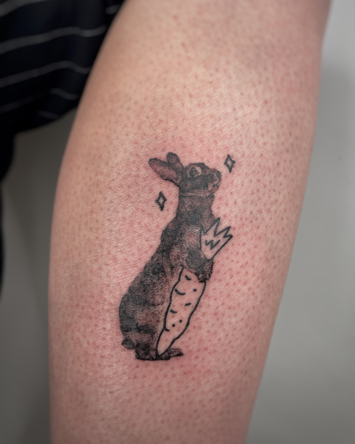 Hase mit Möhrchen im Microrealistic Style auf Bein von mansiehtsichmal.tattooo in Leipzig
