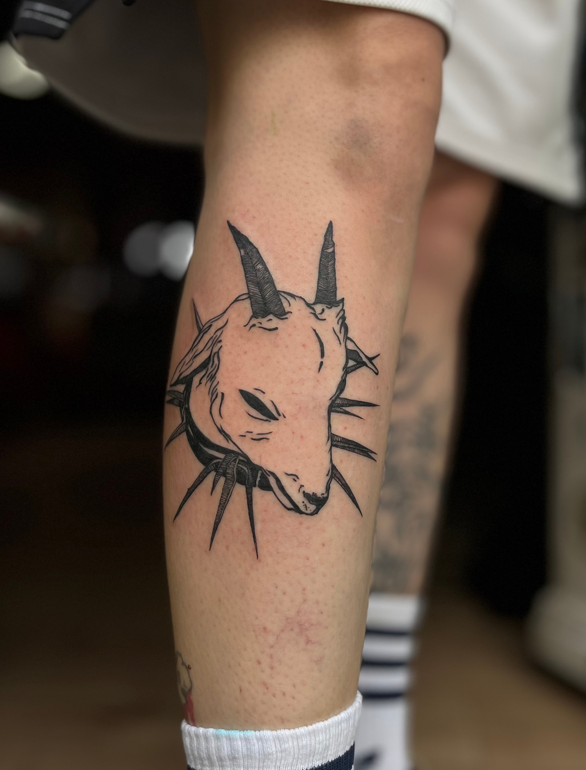 ziege//zicklein mit wolfskragen im Illustrative Style auf Wade von ayranharam in Berlin