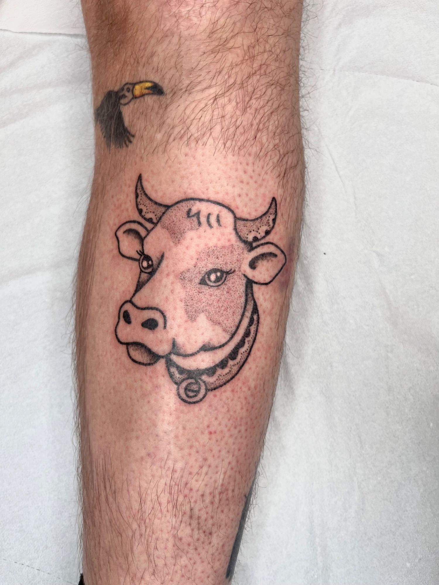 Oldschool Kuh im Black & Gray Style auf Schienbein von nur so tattoos in Leipzig