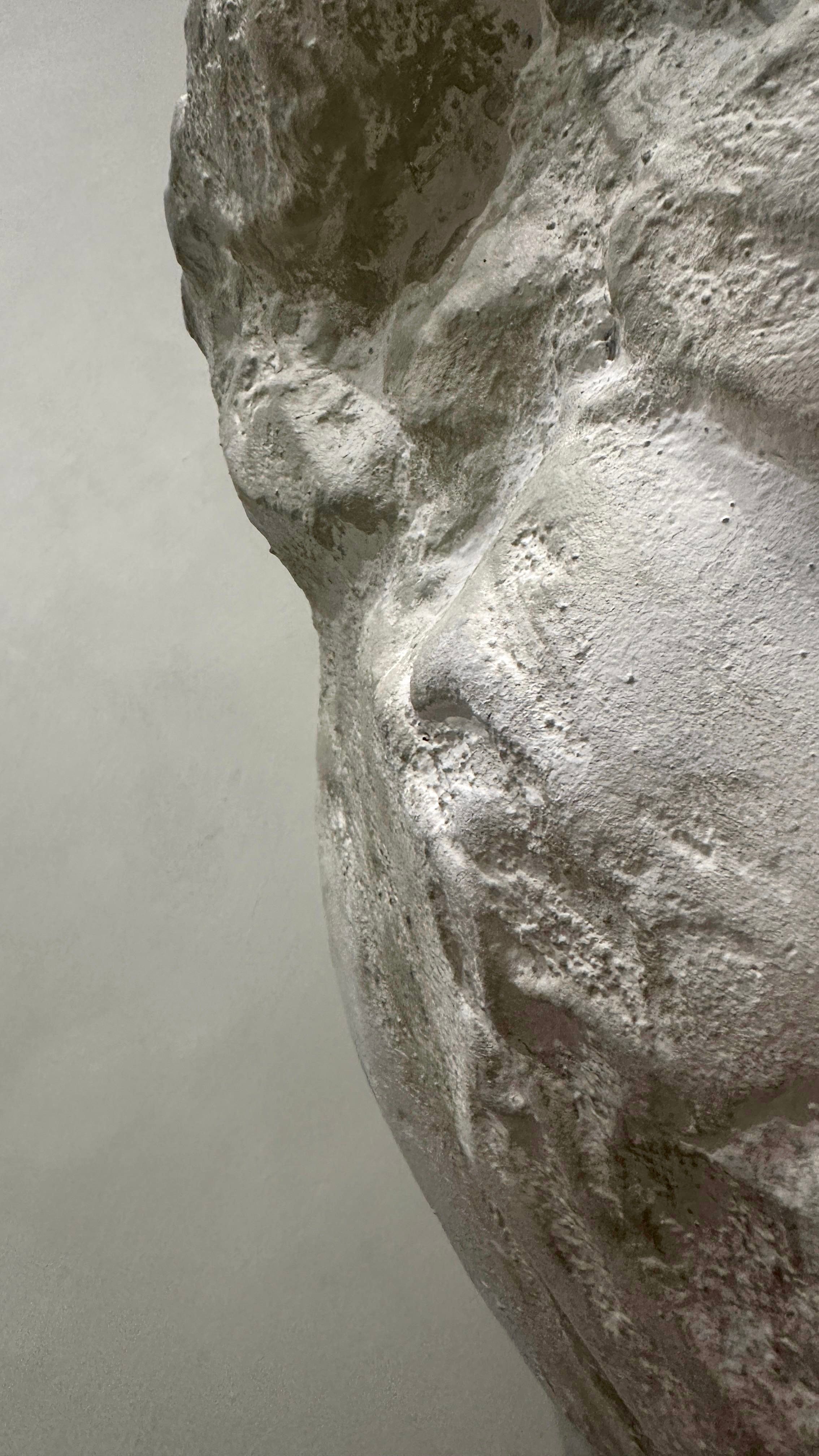 Studio Foto - Ivy Art