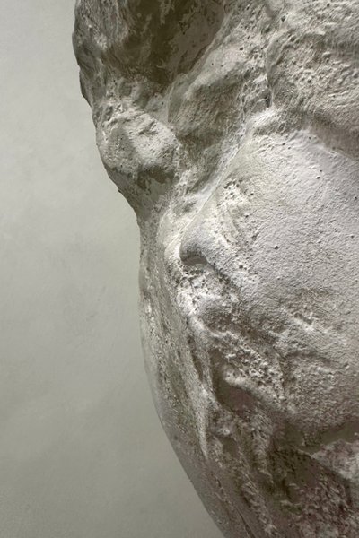 Studio Foto - Ivy Art