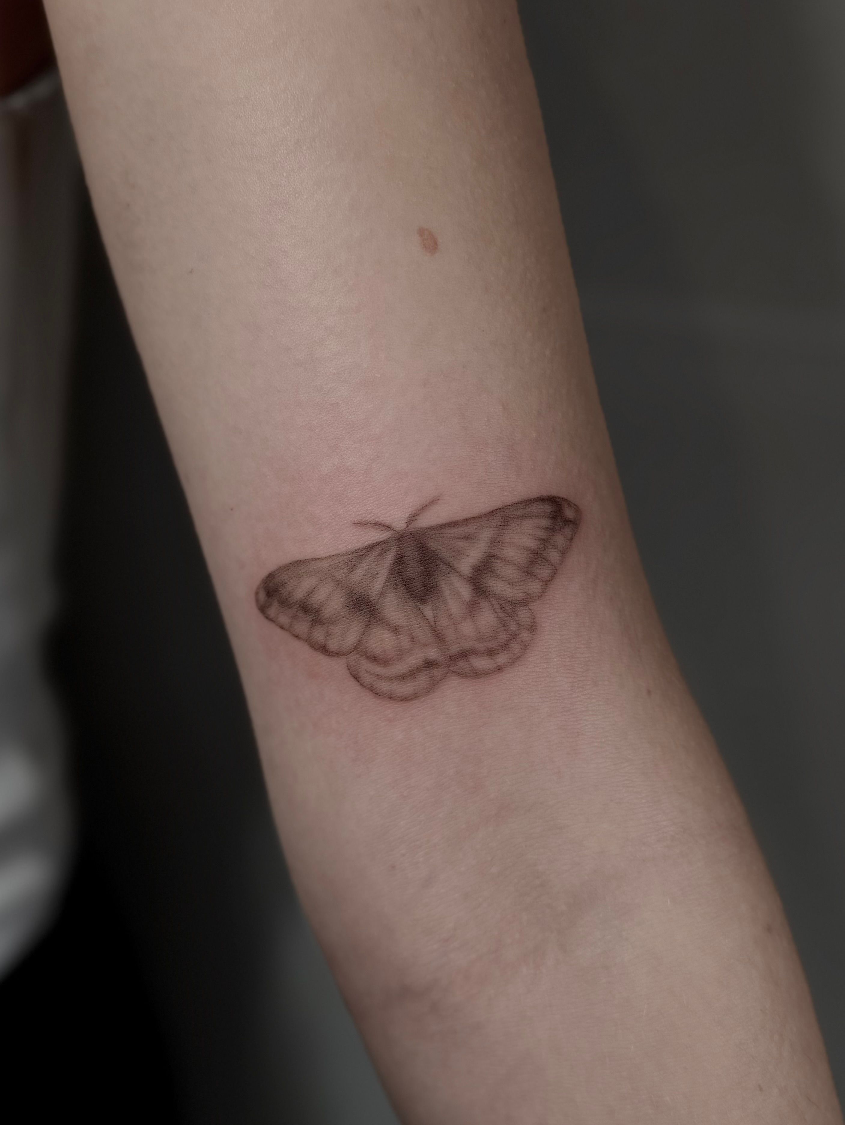 Nachtfalter im Fineline Style auf Oberarm von Room 23 tattoo & art in Lübeck
