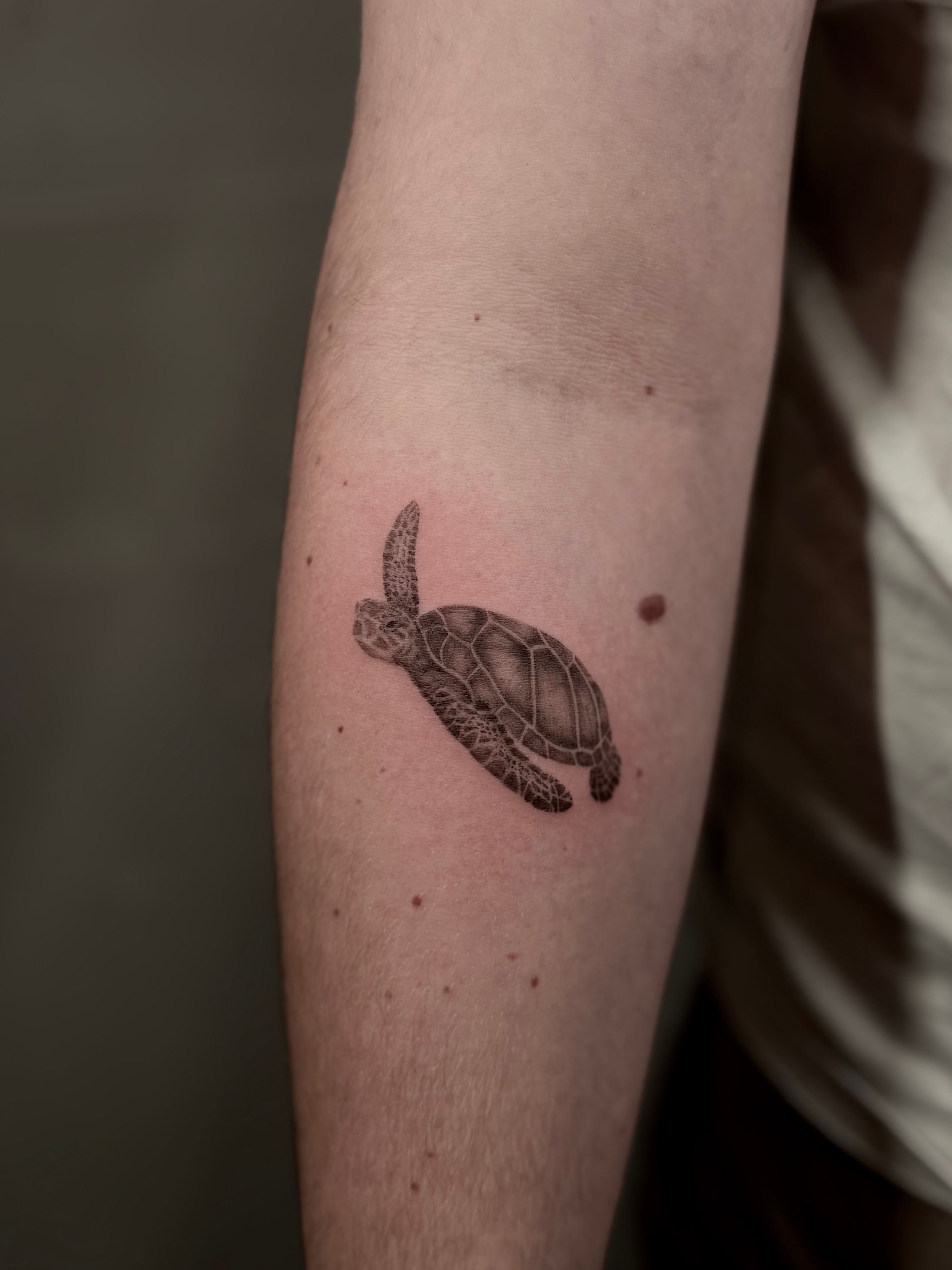 Meeresschildkröte in Microrealistic style on Forearm by Room 23 tattoo & art Lübeck