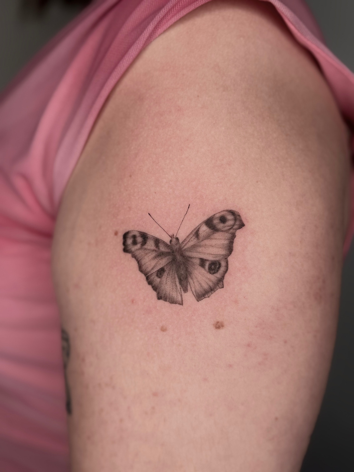 Schmetterling im Microrealistic Style auf Oberarm von Ivy Art in Lübeck