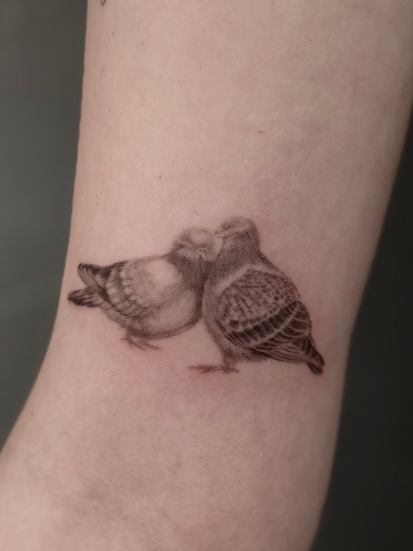 Turteltauben im Microrealistic Style auf Oberarm von Room 23 tattoo & art in Lübeck