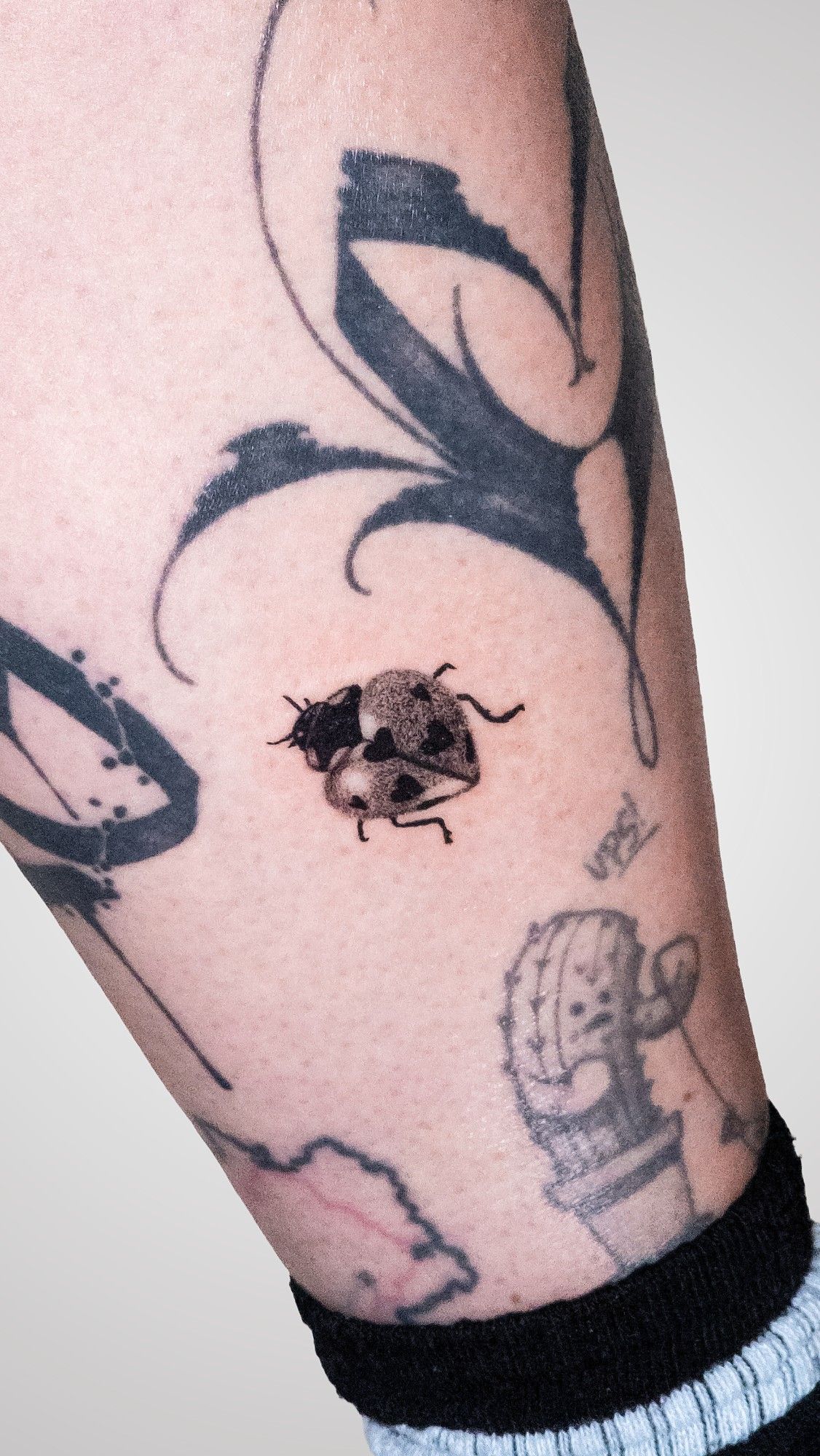 Marienkäfer in Microrealistic style on Leg by Sunny 79 Freiburg im Breisgau
