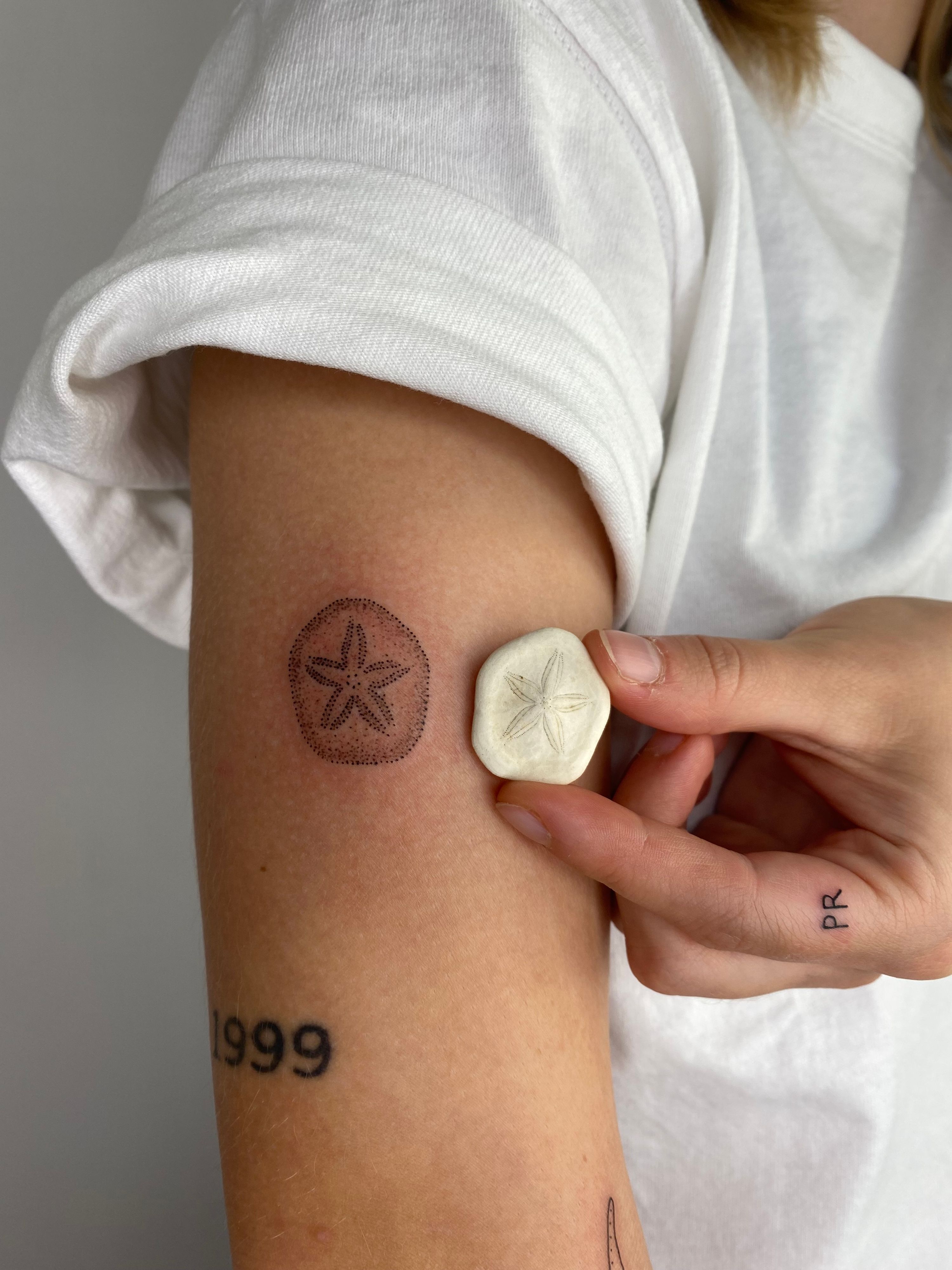 Dotwork Seastar im Style auf Oberarm von Sadmeply Tattoo in Hamburg