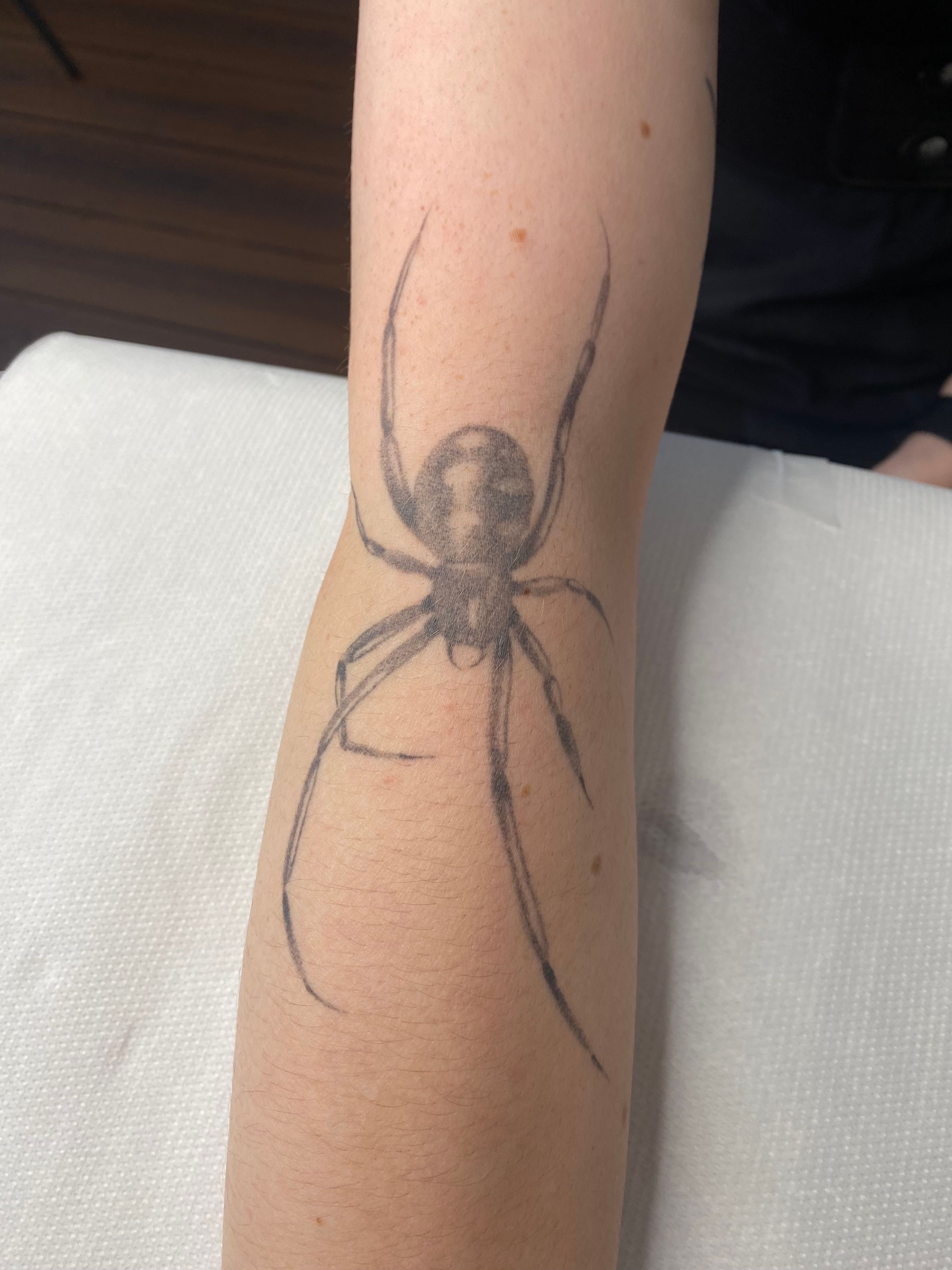 Healed Spider im Dotwork Style auf Unterarm von Sadmeply Tattoo in Hamburg