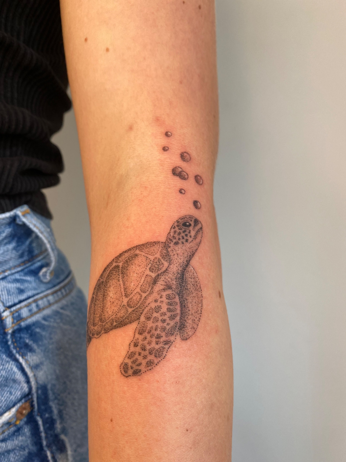 Turtle im Dotwork Style auf Unterarm von Sadmeply Tattoo in Hamburg