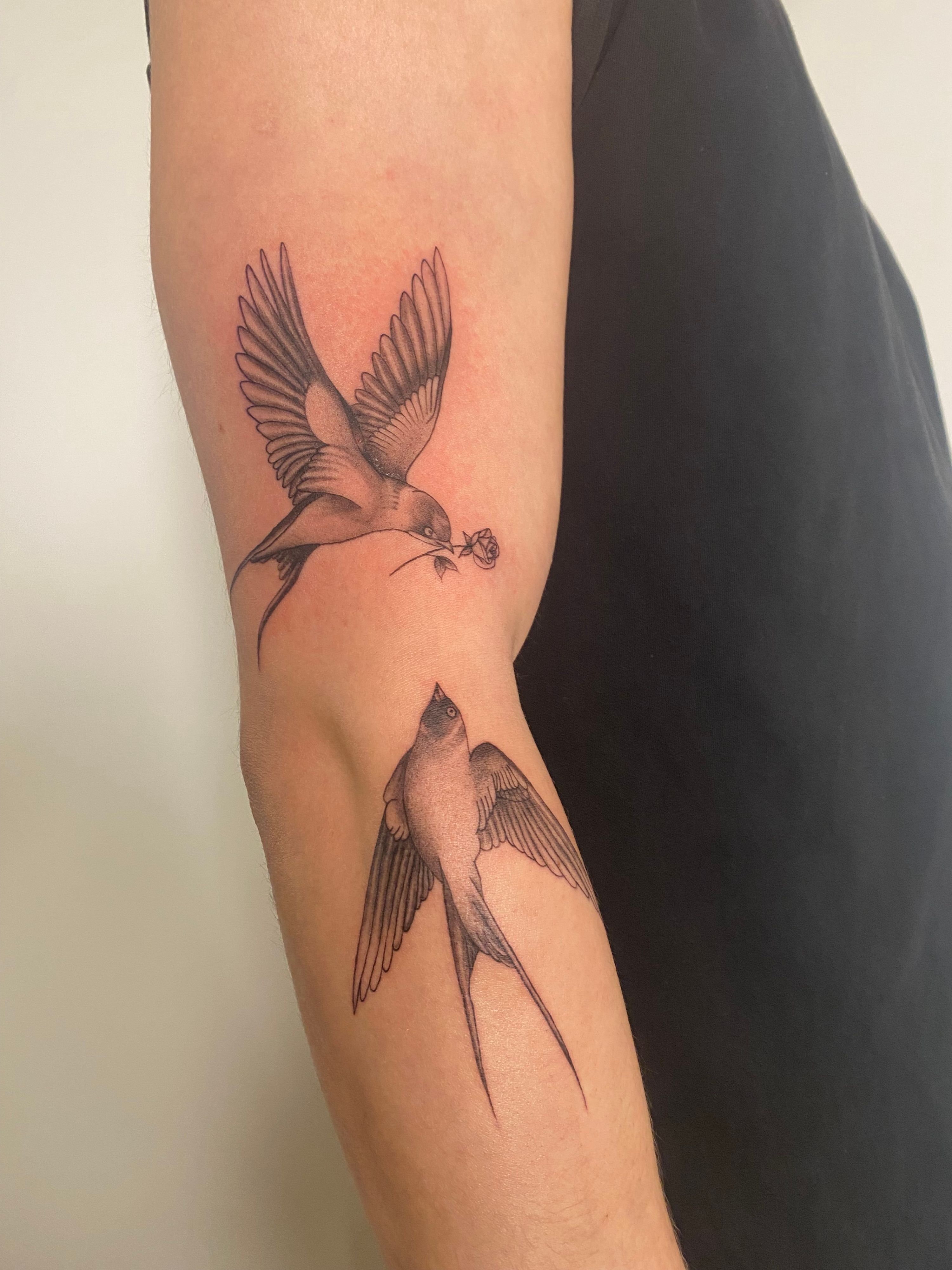 Swallows im Fineline Style auf Oberarm von Sadmeply Tattoo in Hamburg