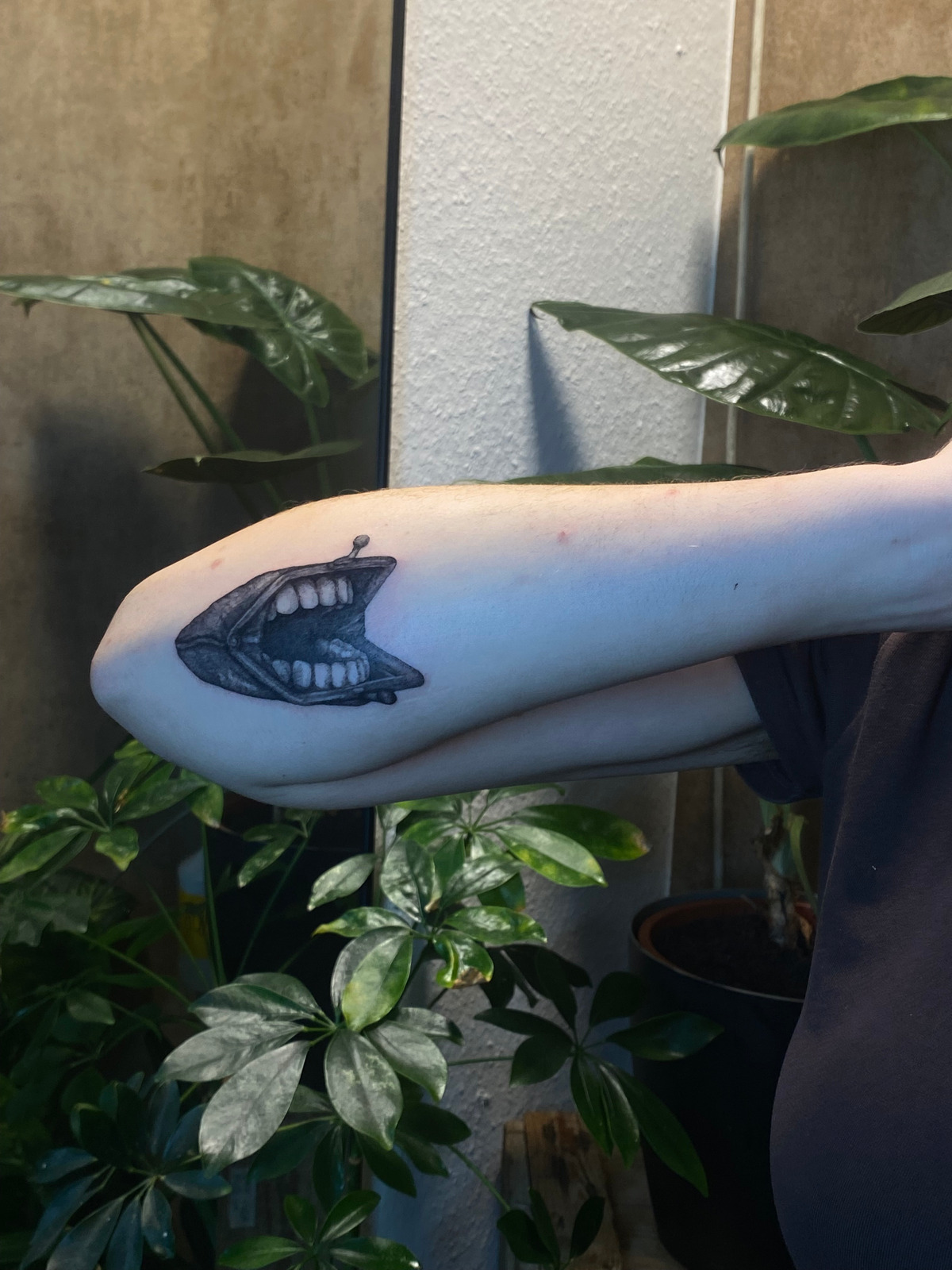 Kapitalistischer Geldbeutel in Black & Gray style on Forearm by schandflecktattoo Freiburg im Breisgau