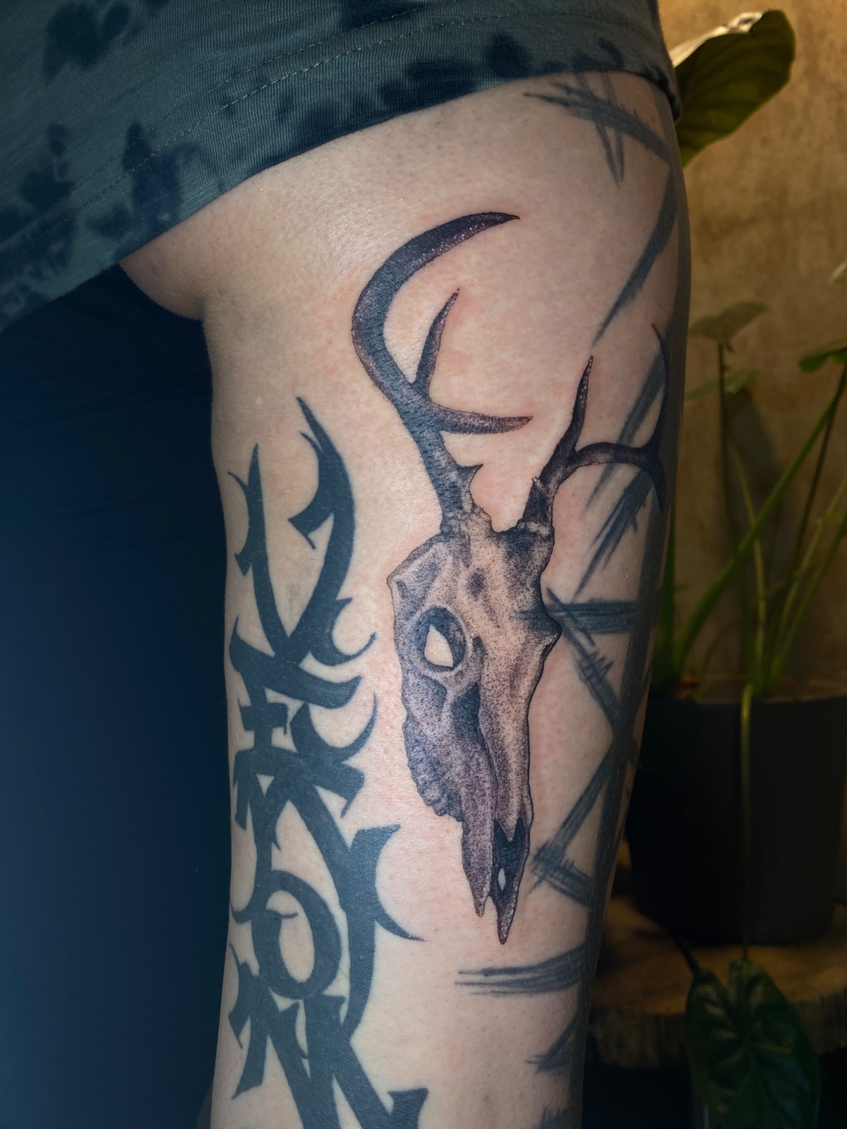 Hirschschädel im Dotwork Style auf Oberschenkel von schandflecktattoo in Freiburg Breisgau