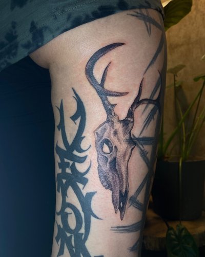 Hirschschädel in Dotwork style on Thigh by schandflecktattoo Freiburg im Breisgau