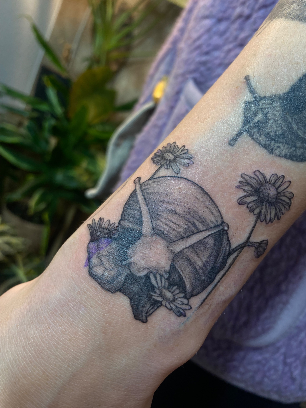 Schnecke, die ein Gänseblümchen mampft im Microrealistic Style von schandflecktattoo in Freiburg Breisgau