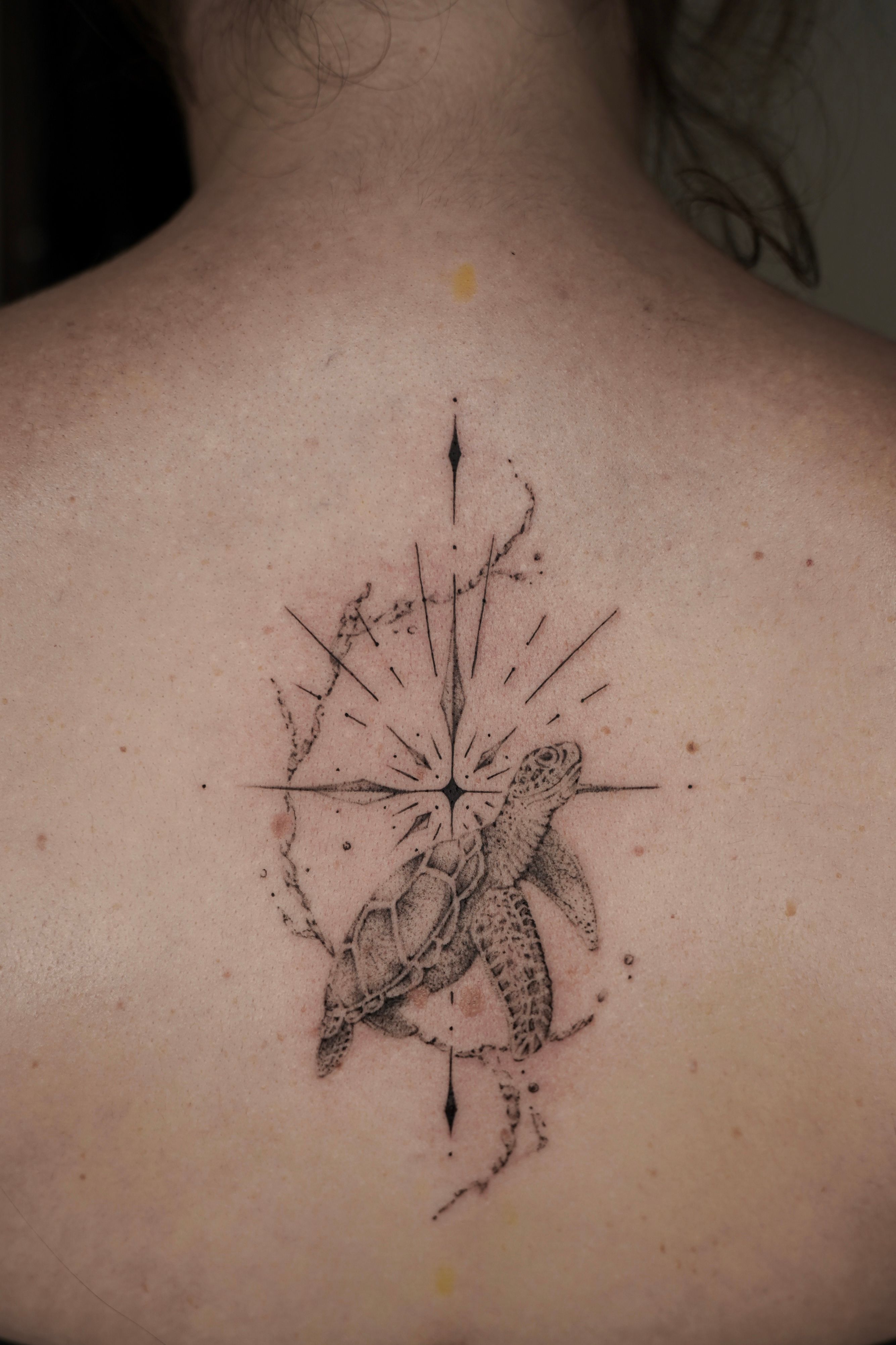 Schildkröte / Kompass im Abstract Style auf Rücken von Ziska Ink Tattoo Studio in 27339