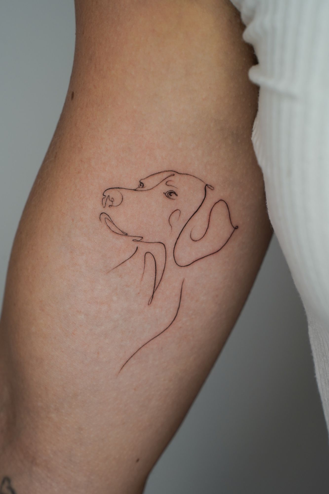 Linework Hund in Fineline style on Upper Arm by Ziska Ink Tattoo Studio 27339