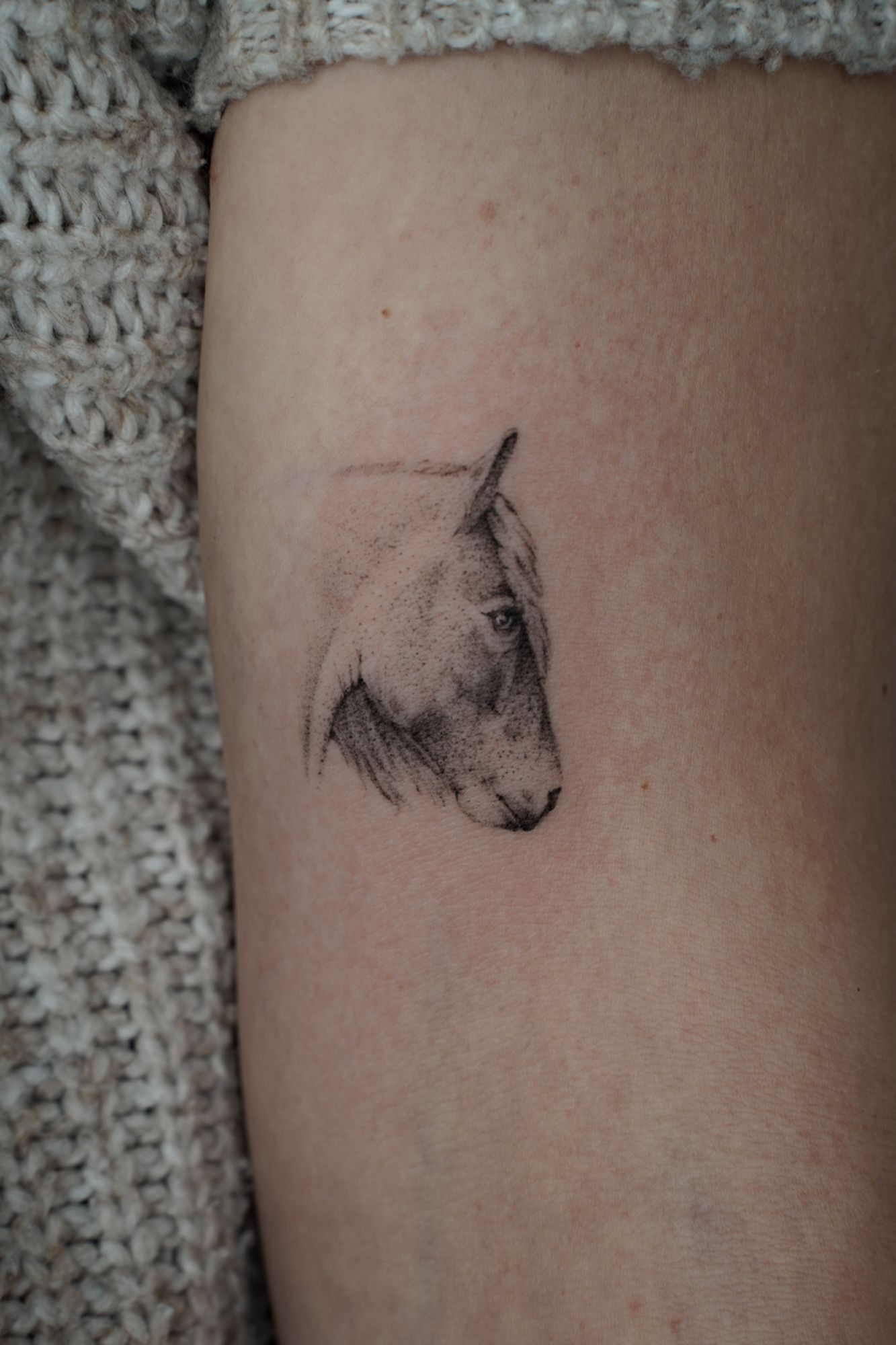 Microrealism Horse im Microrealistic Style auf Oberarm von Ziska Ink Tattoo Studio in 27339