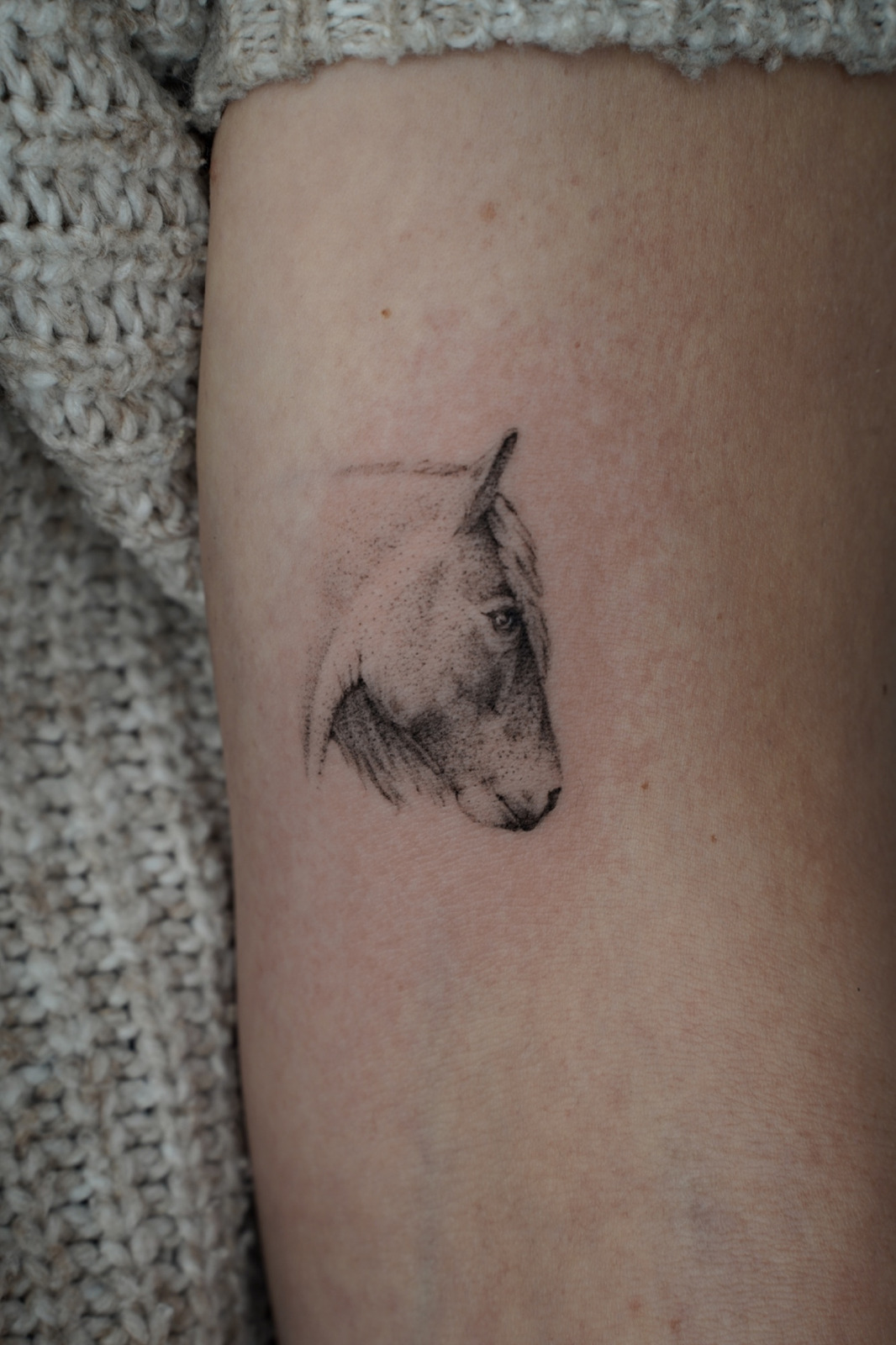 Microrealism Horse in Microrealistic style on Upper Arm by Ziska Ink Tattoo Studio 27339