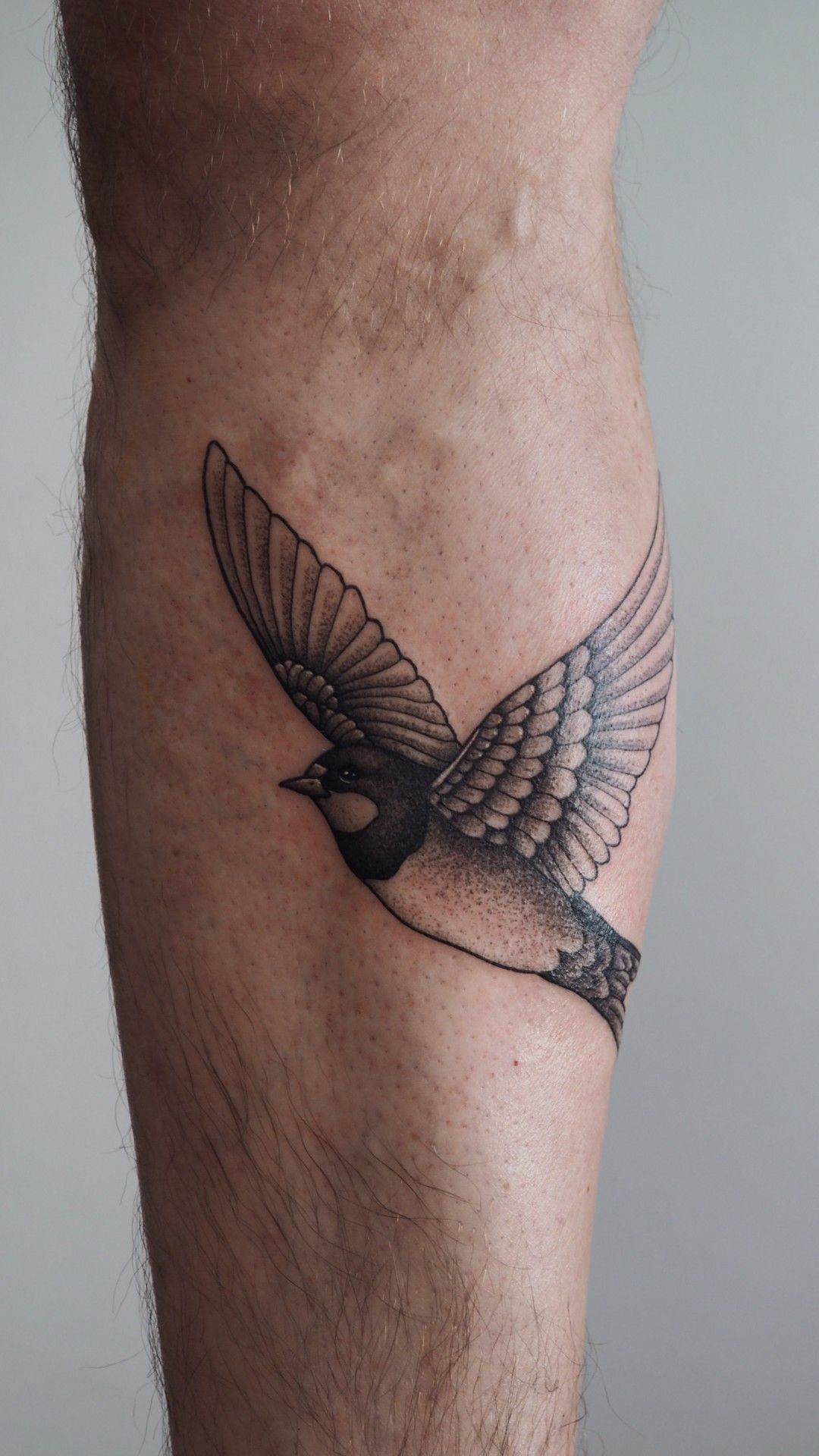 Schwalbe Bein im Black & Gray Style auf von Anne Nohva in Hamburg