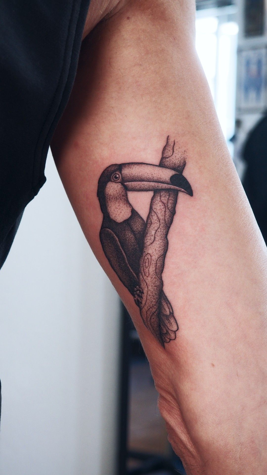 Tukan Innenseite Oberam im Black & Gray Style auf Oberarm von Anne Nohva in Hamburg