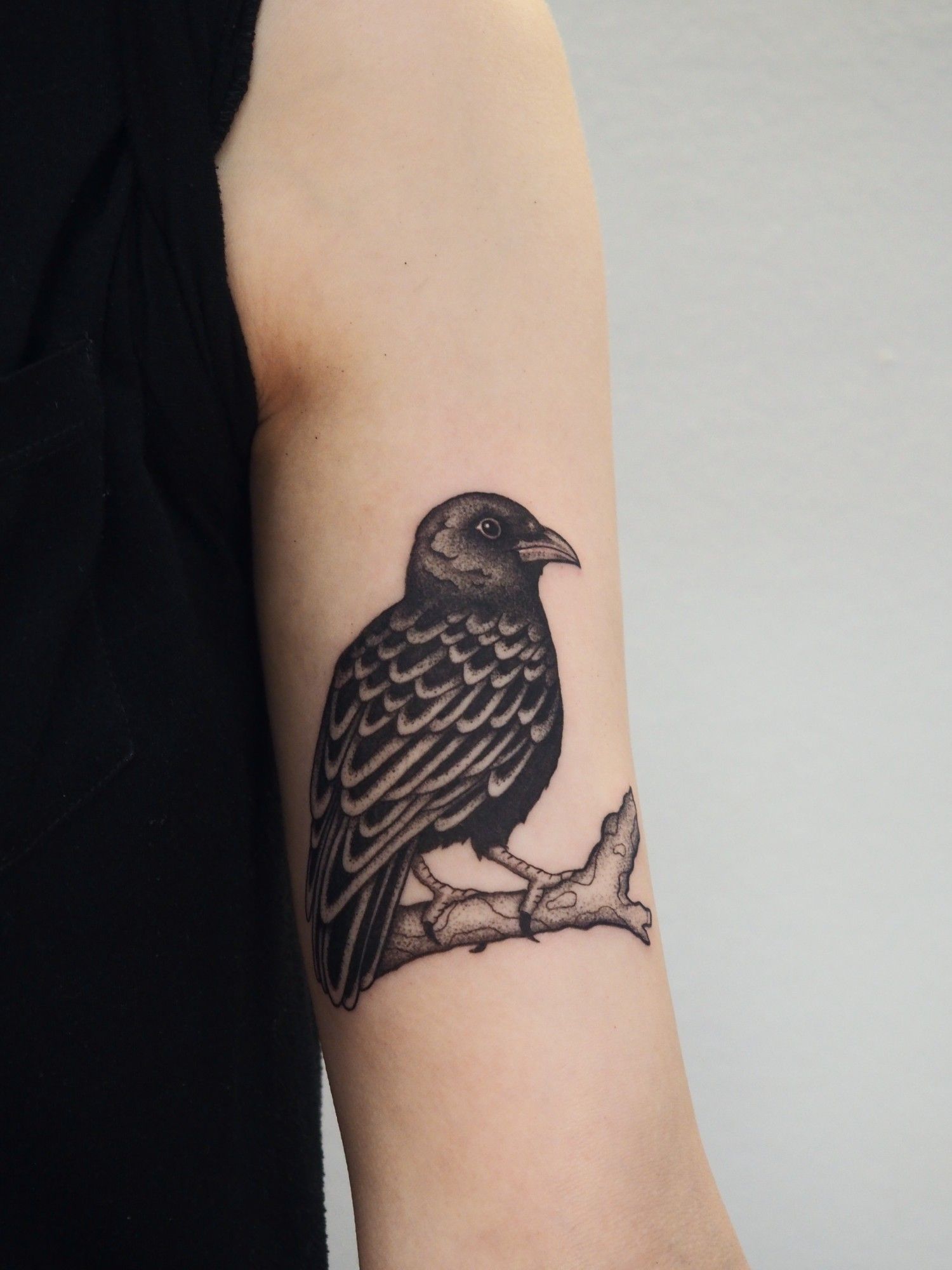 Krähe Oberarm im Blackwork Style auf von Anne Nohva in Hamburg
