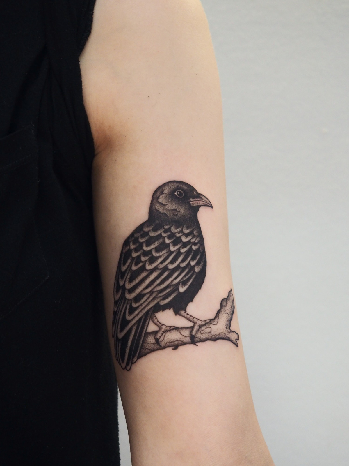 Krähe Oberarm im Blackwork Style auf von Anne Nohva in Hamburg