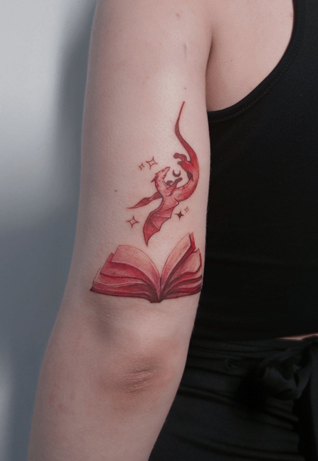 Dragon and book im Illustrative Style auf Oberarm von Lucas in Leipzig