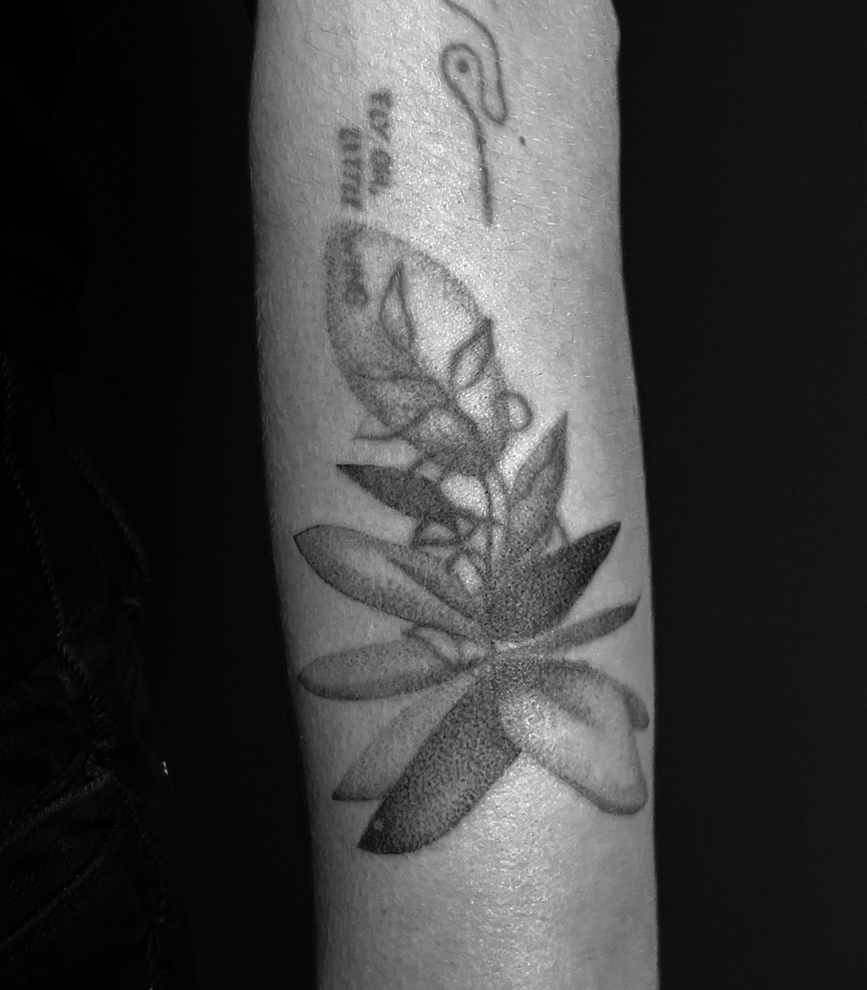 abstrahierte sukkulente blastover/coverup im Botanical, Floral Style auf Unterarm von studio knut’s in Weimar