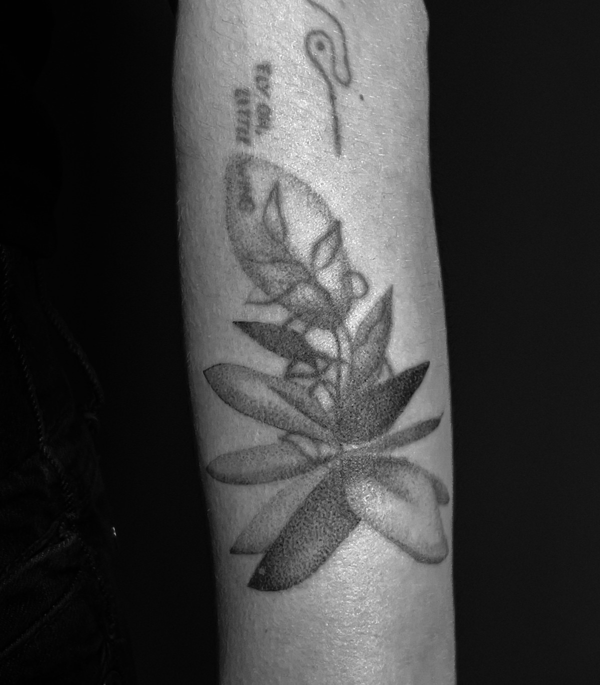 abstrahierte sukkulente blastover/coverup in Botanical, Floral style on Forearm by rose Weimar