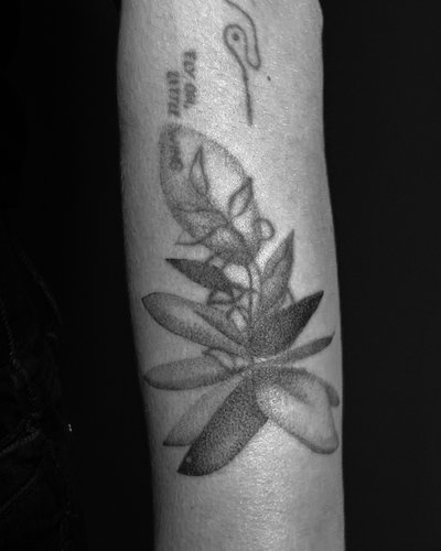 abstrahierte sukkulente blastover/coverup im Botanical, Floral Style auf Unterarm von studio knut’s in Weimar