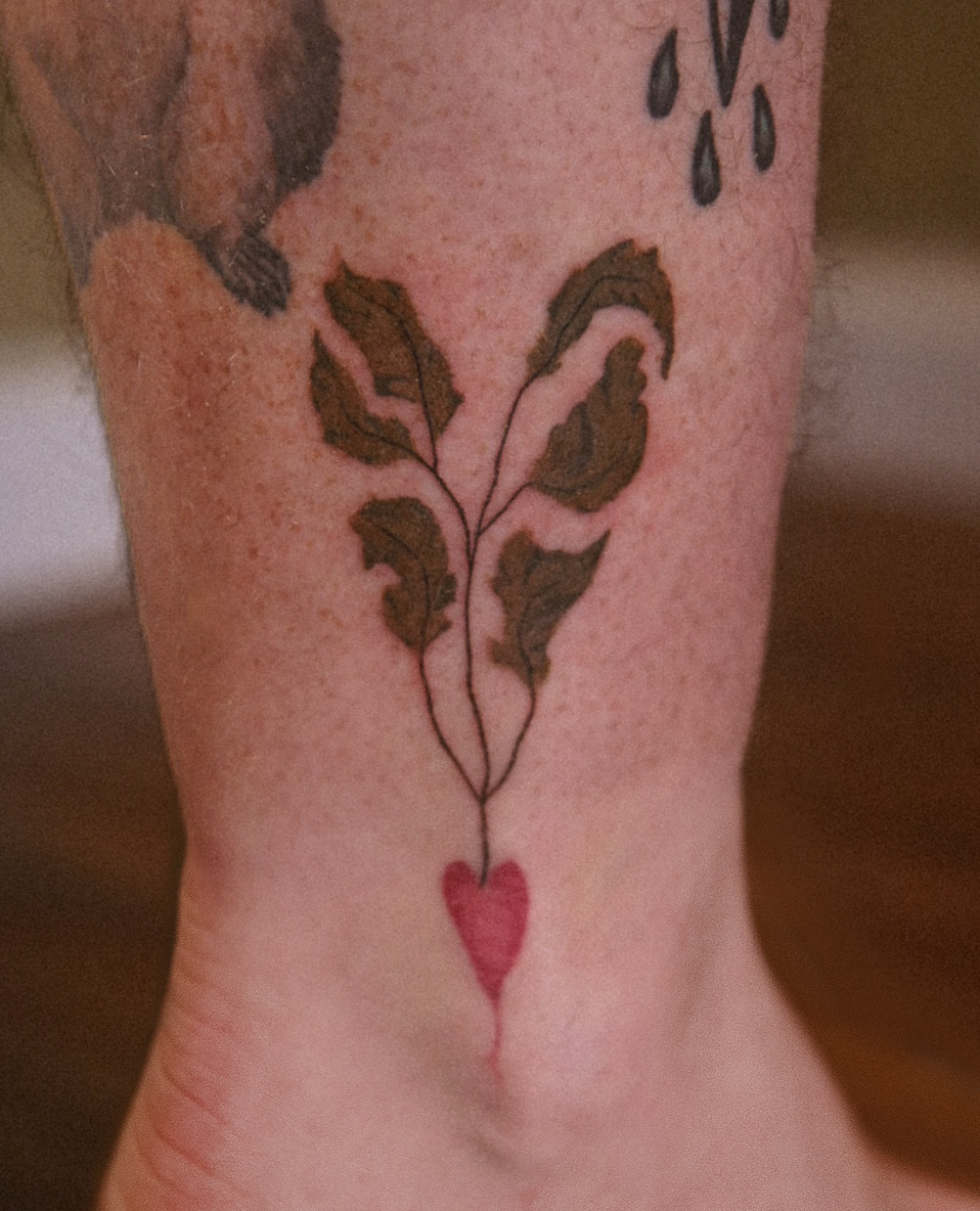 herzförmige rübe in grün und pink Botanical, Floral style on Ankle by studio knut’s Weimar
