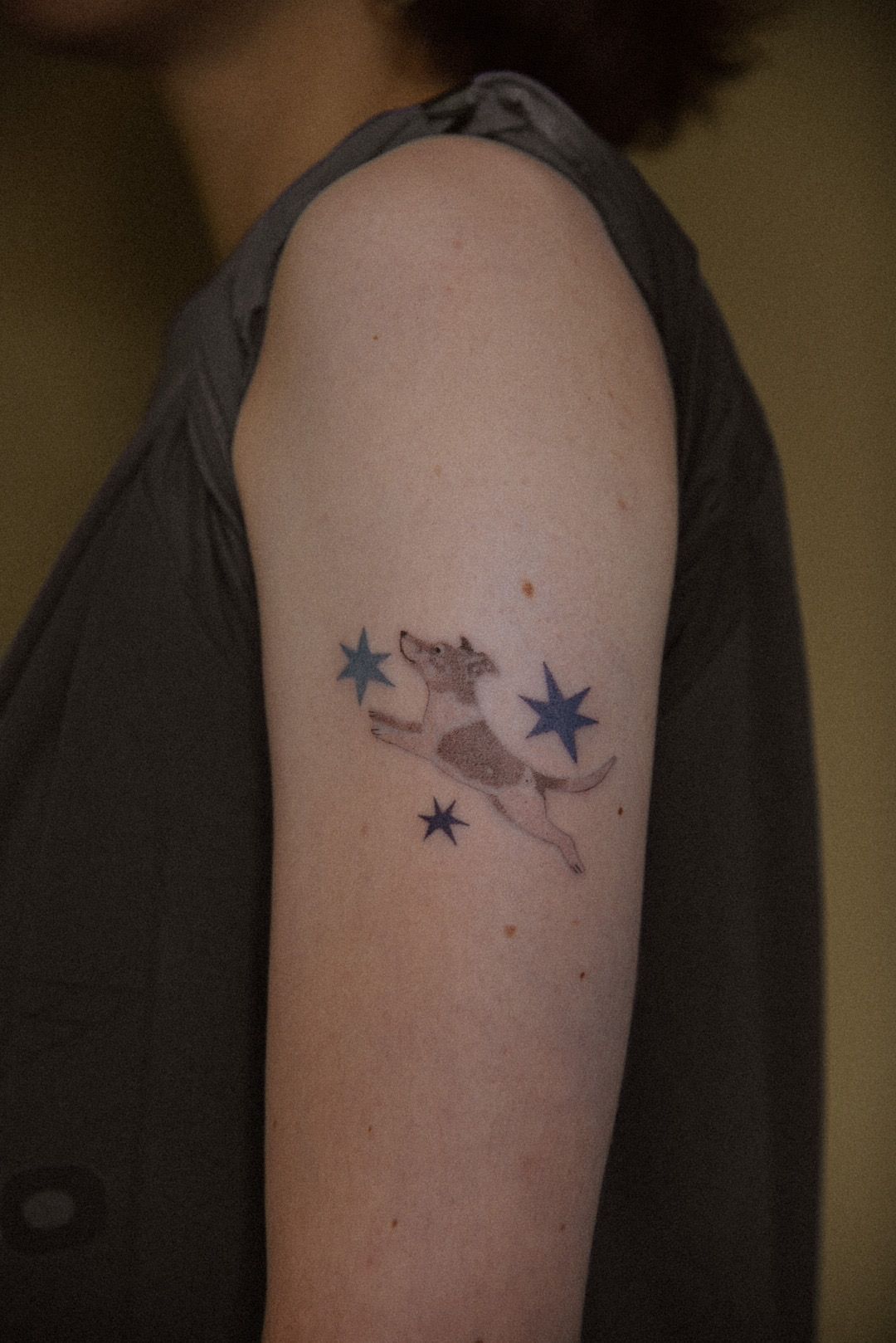 hund mit bunten sternen in Illustrative style on Upper Arm by studio knut’s Weimar